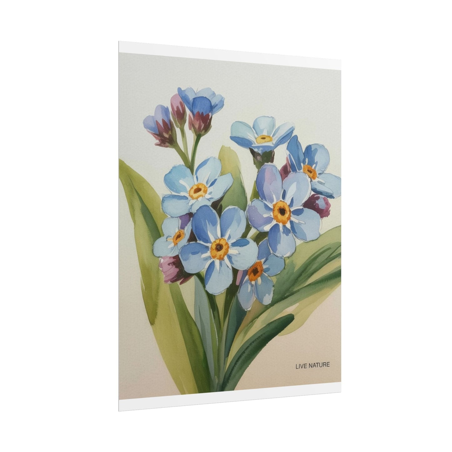 Alaska Forget-Me-Not Floral Watercolor Art Print