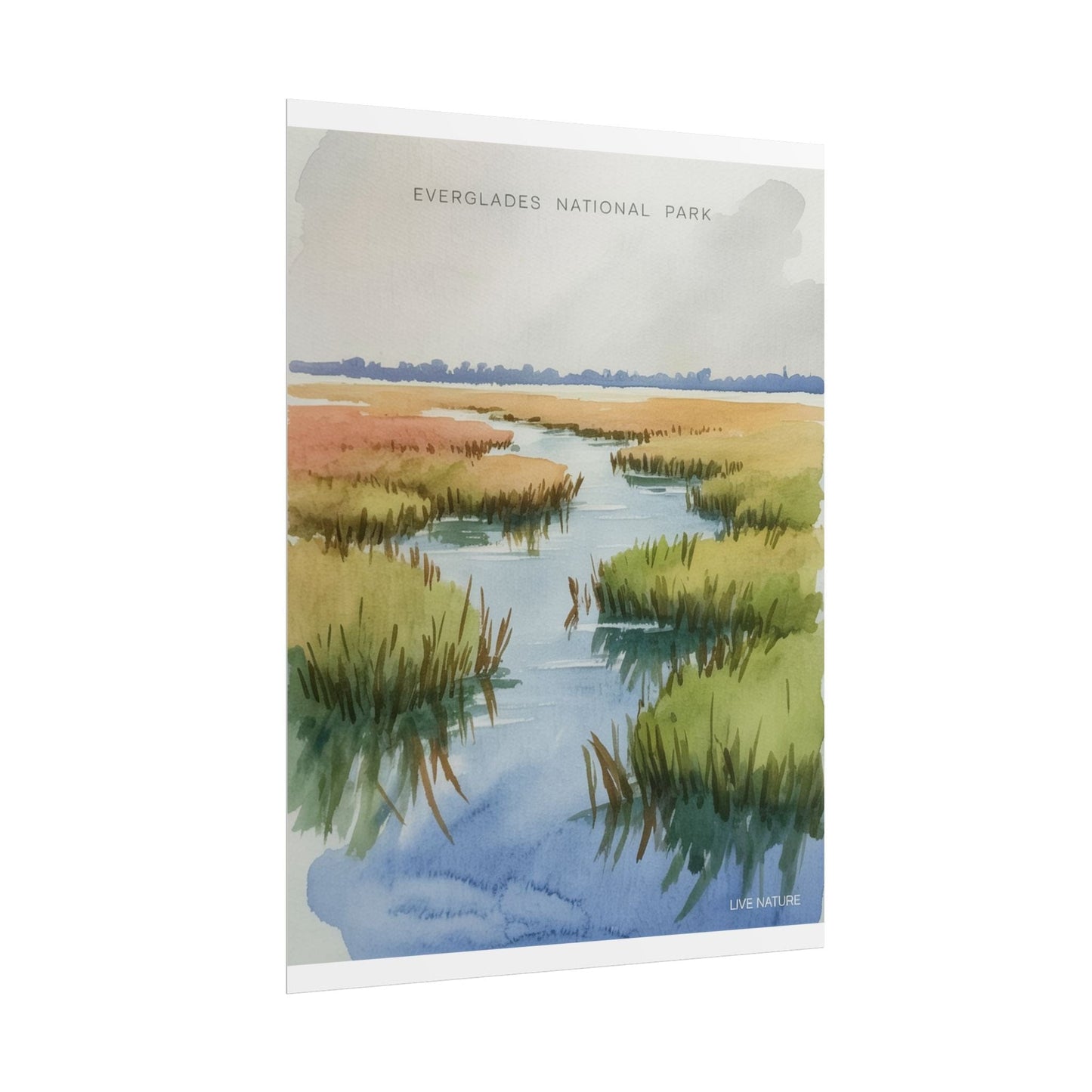 Everglades National Park Watercolor Poster Print