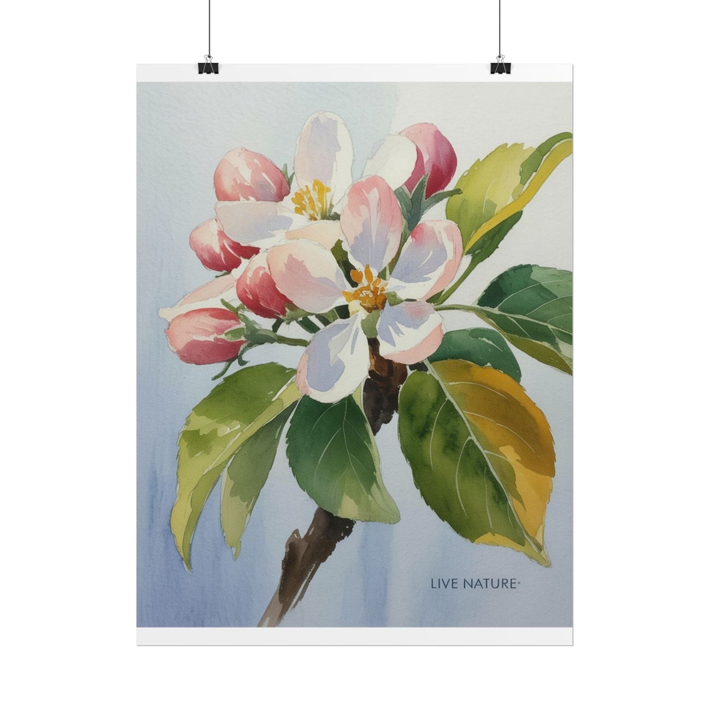 Apple Blossom Watercolor Print 'Live Nature' Design