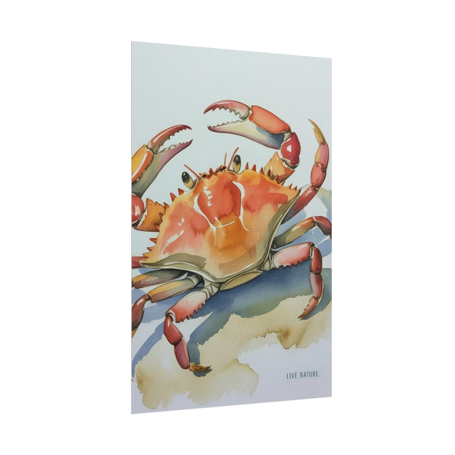 Live Nature Crab Watercolor Art Print Poster