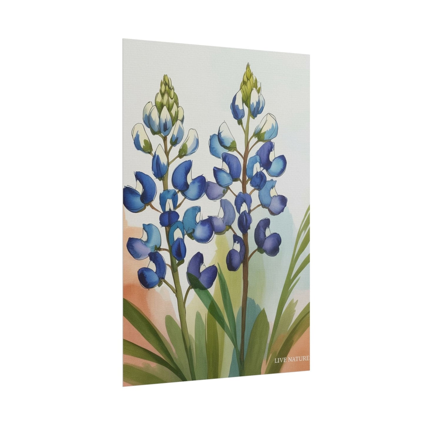 Texas Bluebonnet Watercolor Art Print Matte Finish