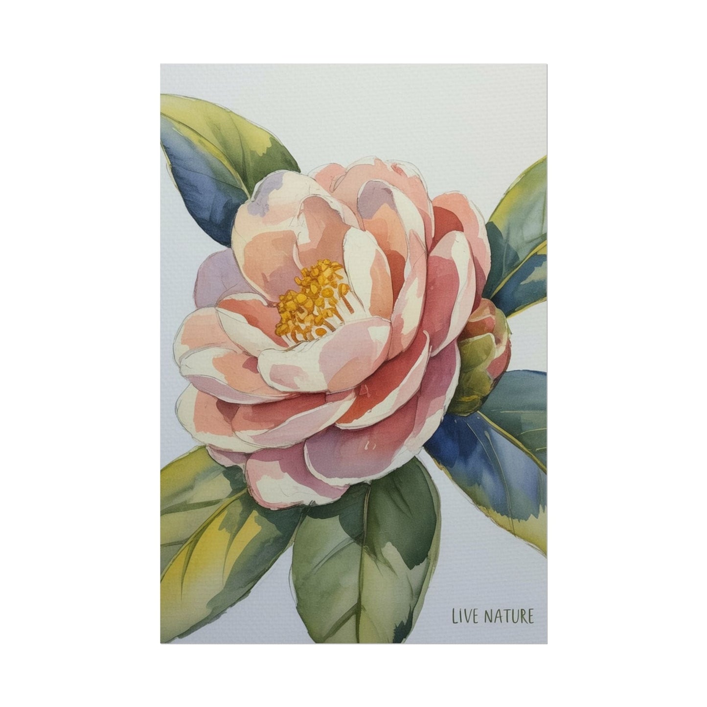 Camellia Flower Watercolor Art Print 'Live Nature