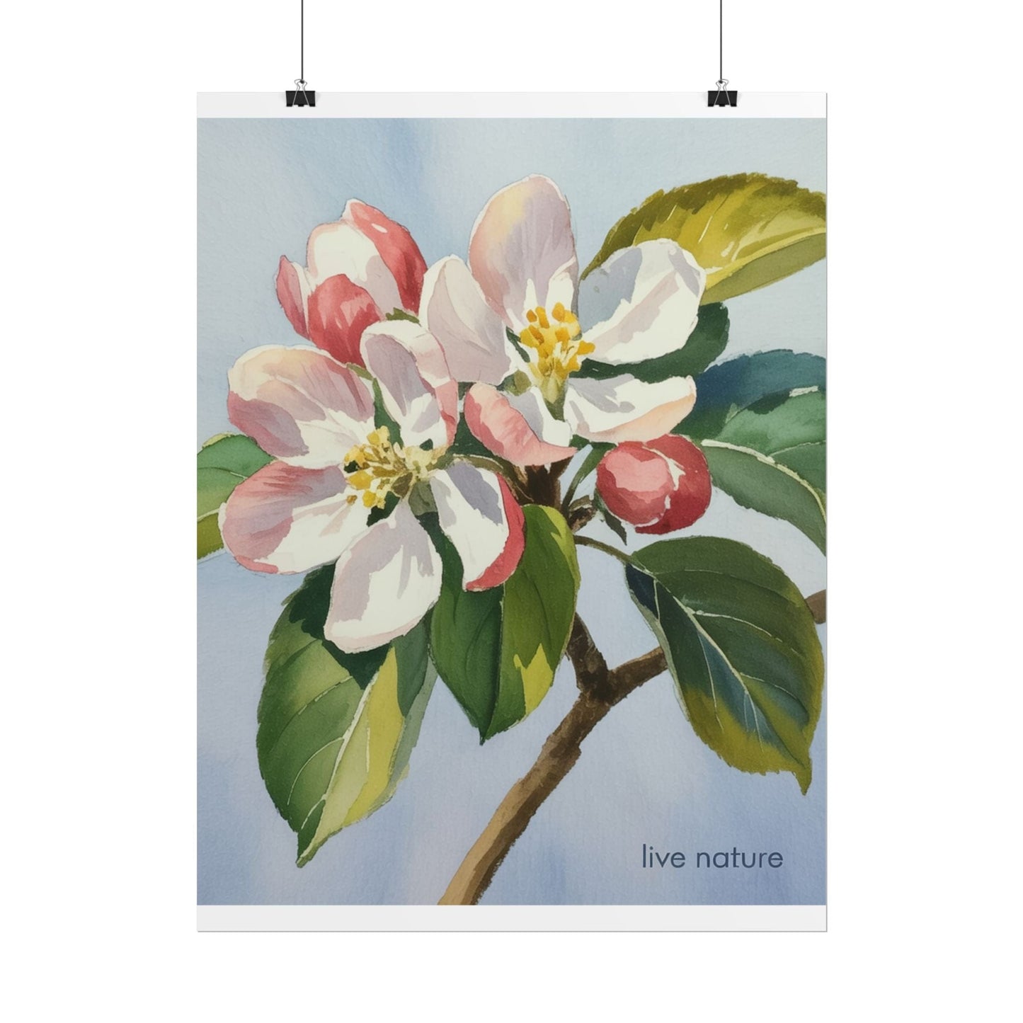 Apple Blossom Watercolor Art Print 'Live Nature' Design