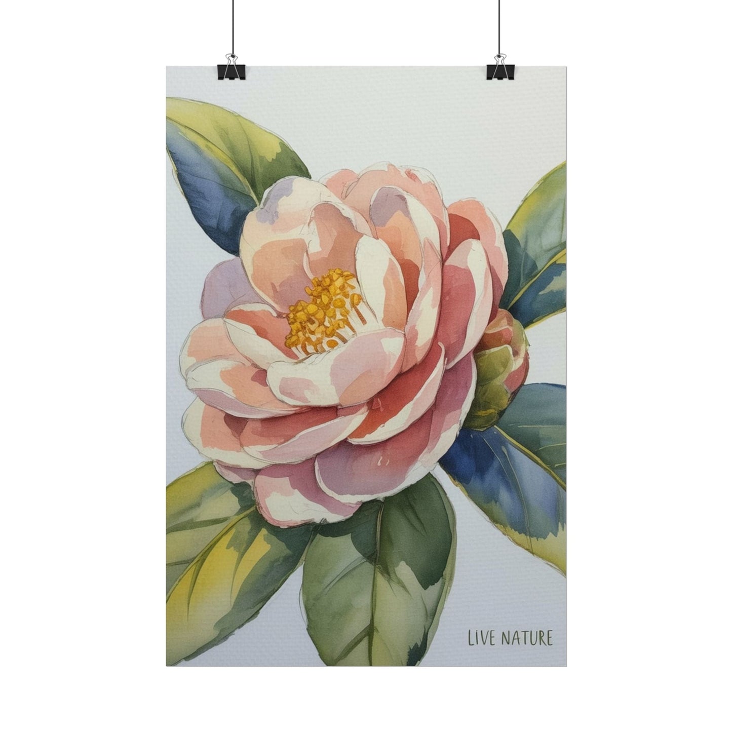 Camellia Flower Watercolor Art Print 'Live Nature