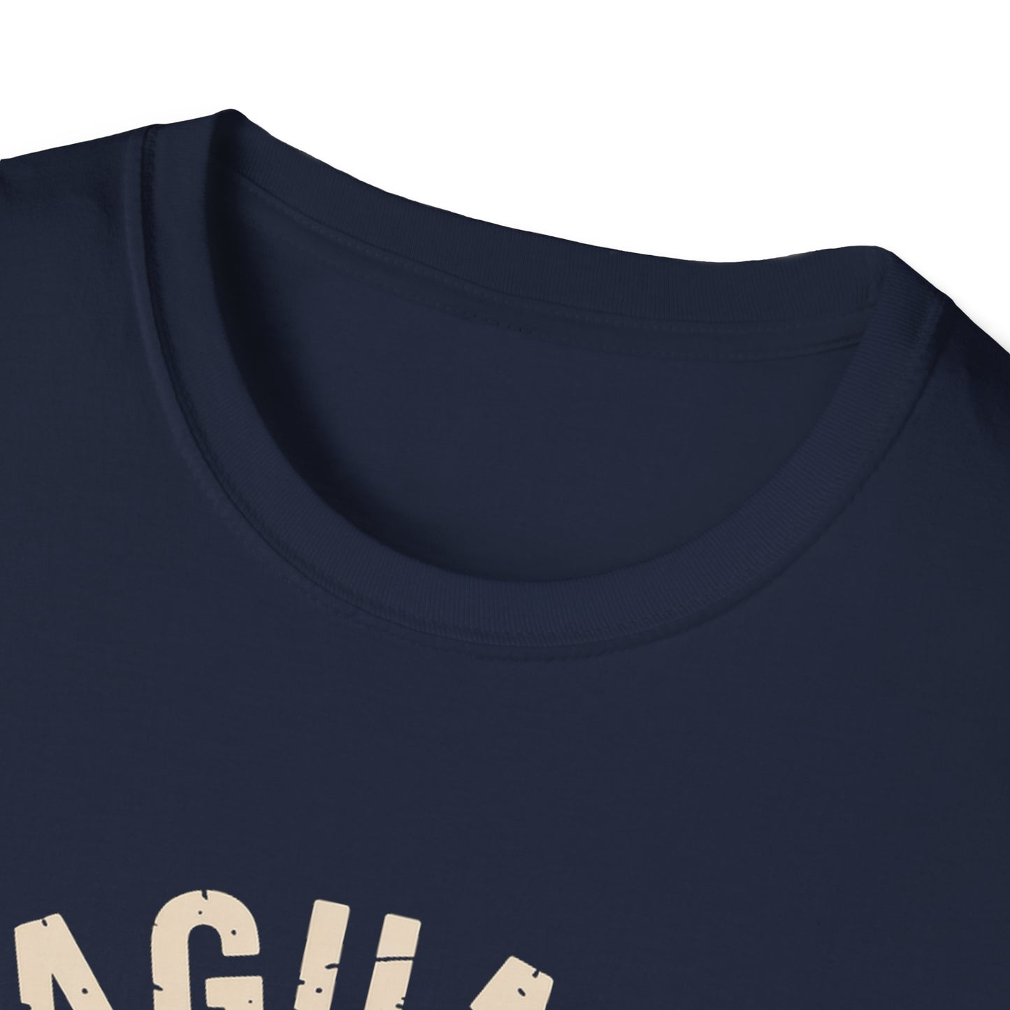 Saguaro National Park Retro Style T-Shirt