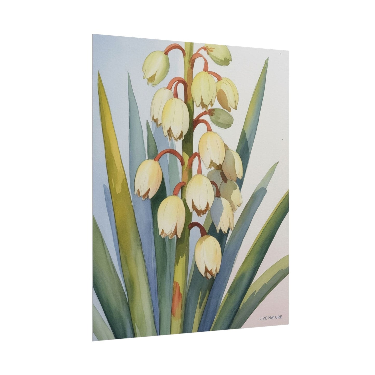 Yucca Bloom Watercolor Print Live Nature Collection