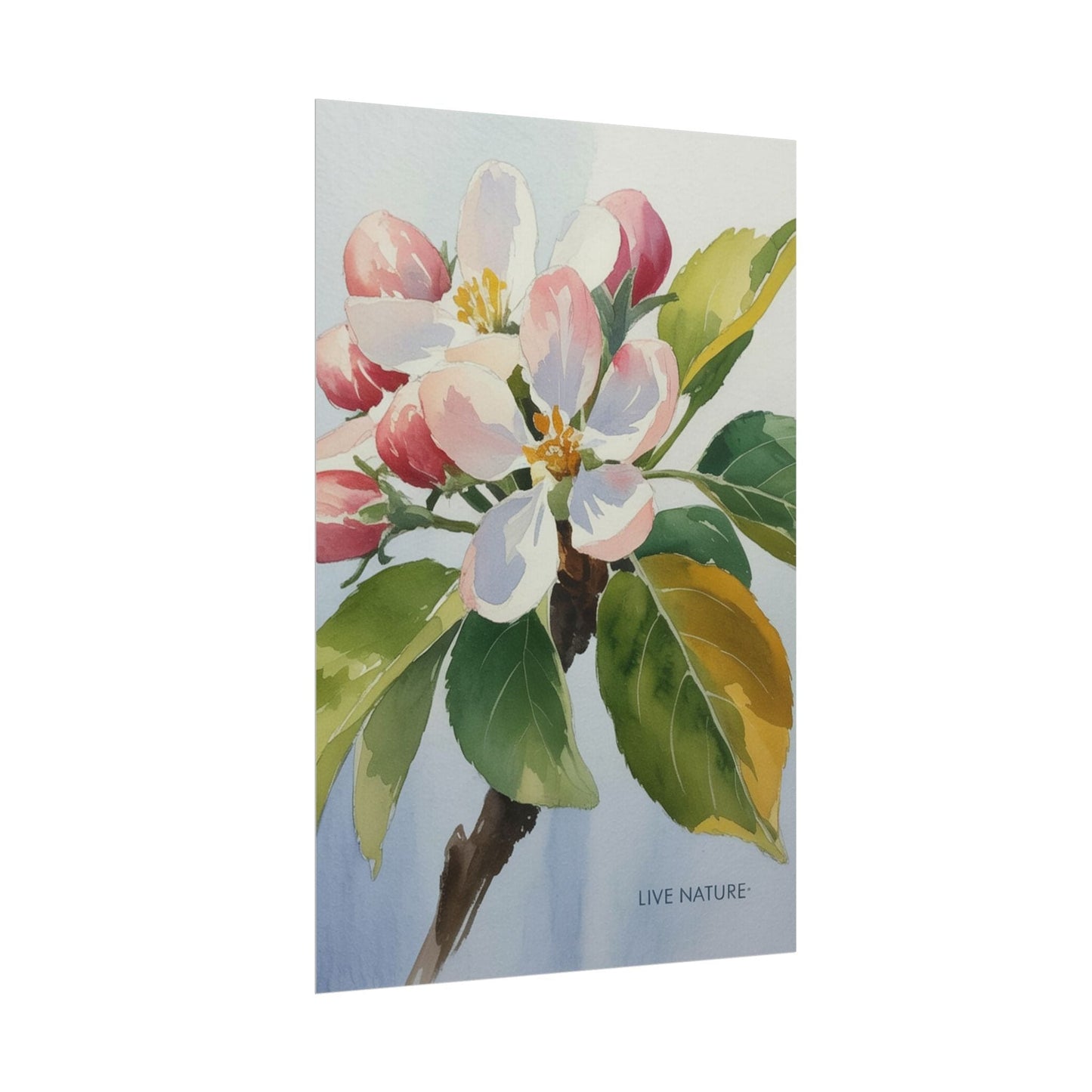Apple Blossom Watercolor Print 'Live Nature' Design
