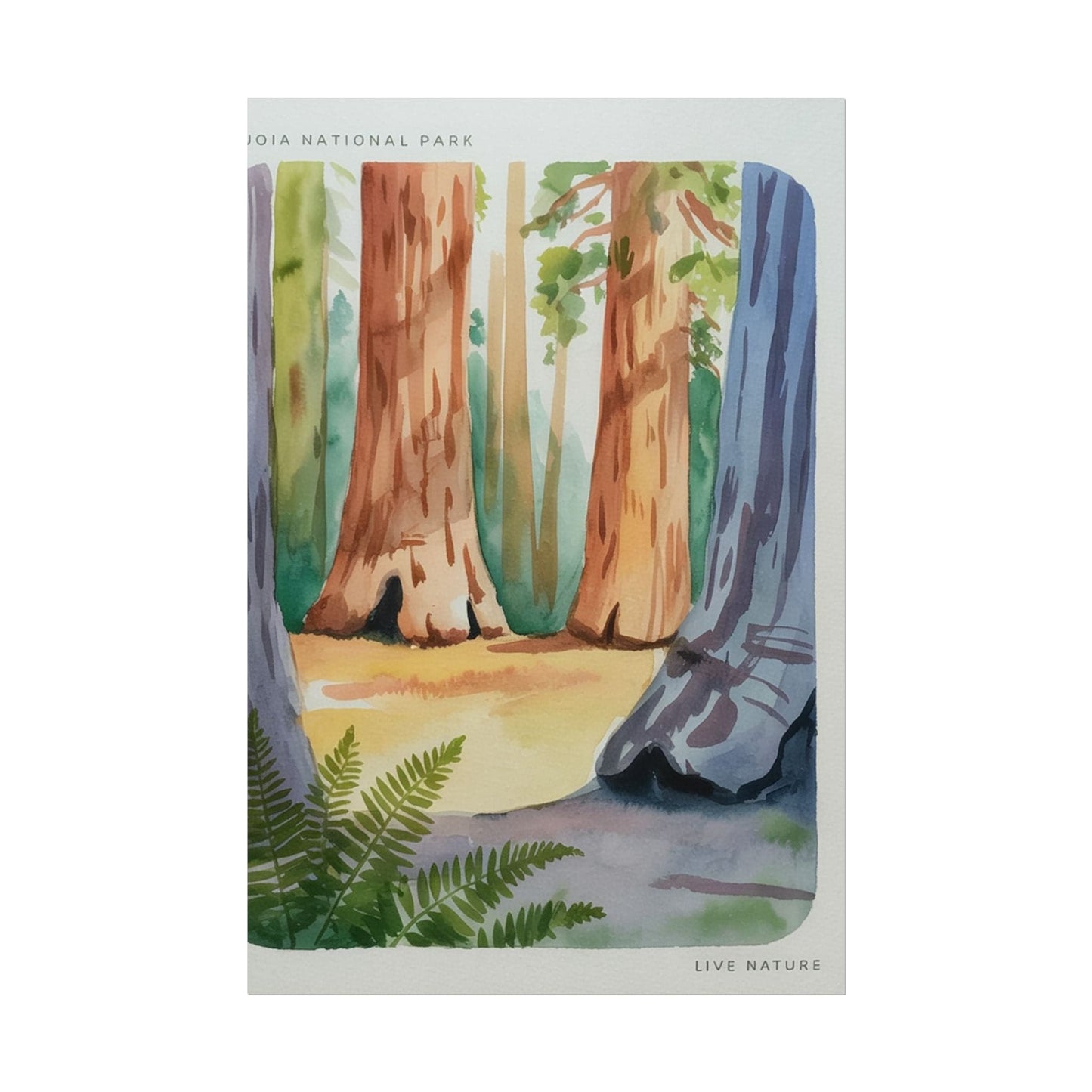 Sequoia National Park Watercolor Print Poster
