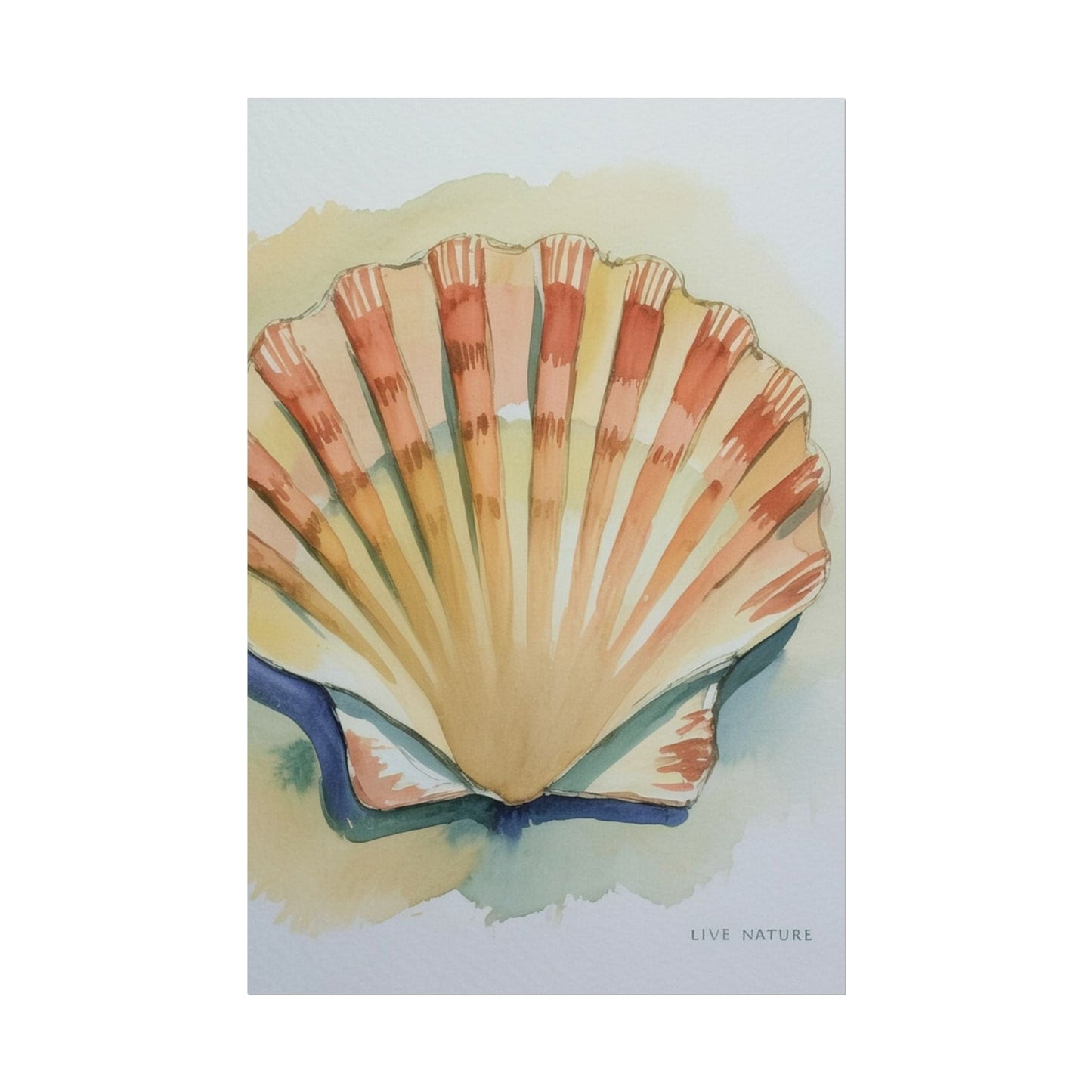 Clam Shell Watercolor Art Print 'Live Nature