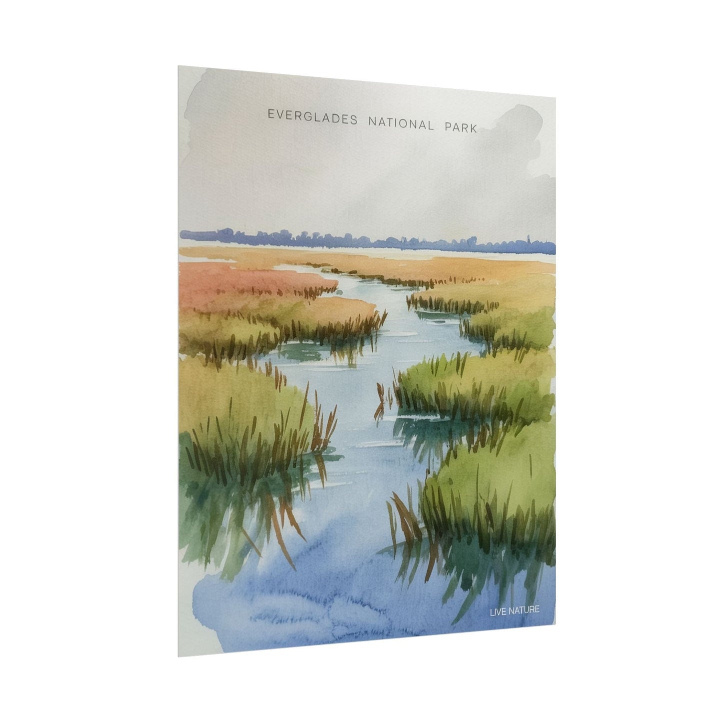 Everglades National Park Watercolor Poster Print