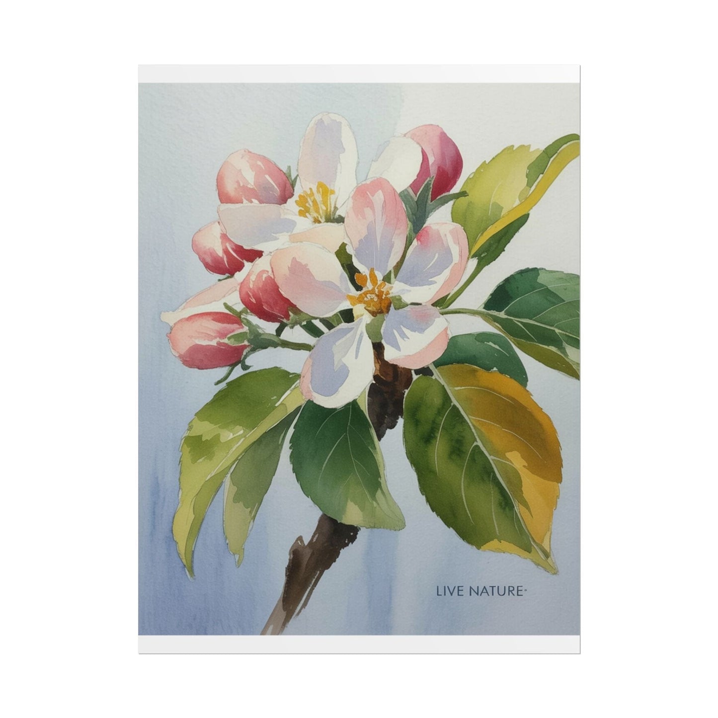Apple Blossom Watercolor Print 'Live Nature' Design