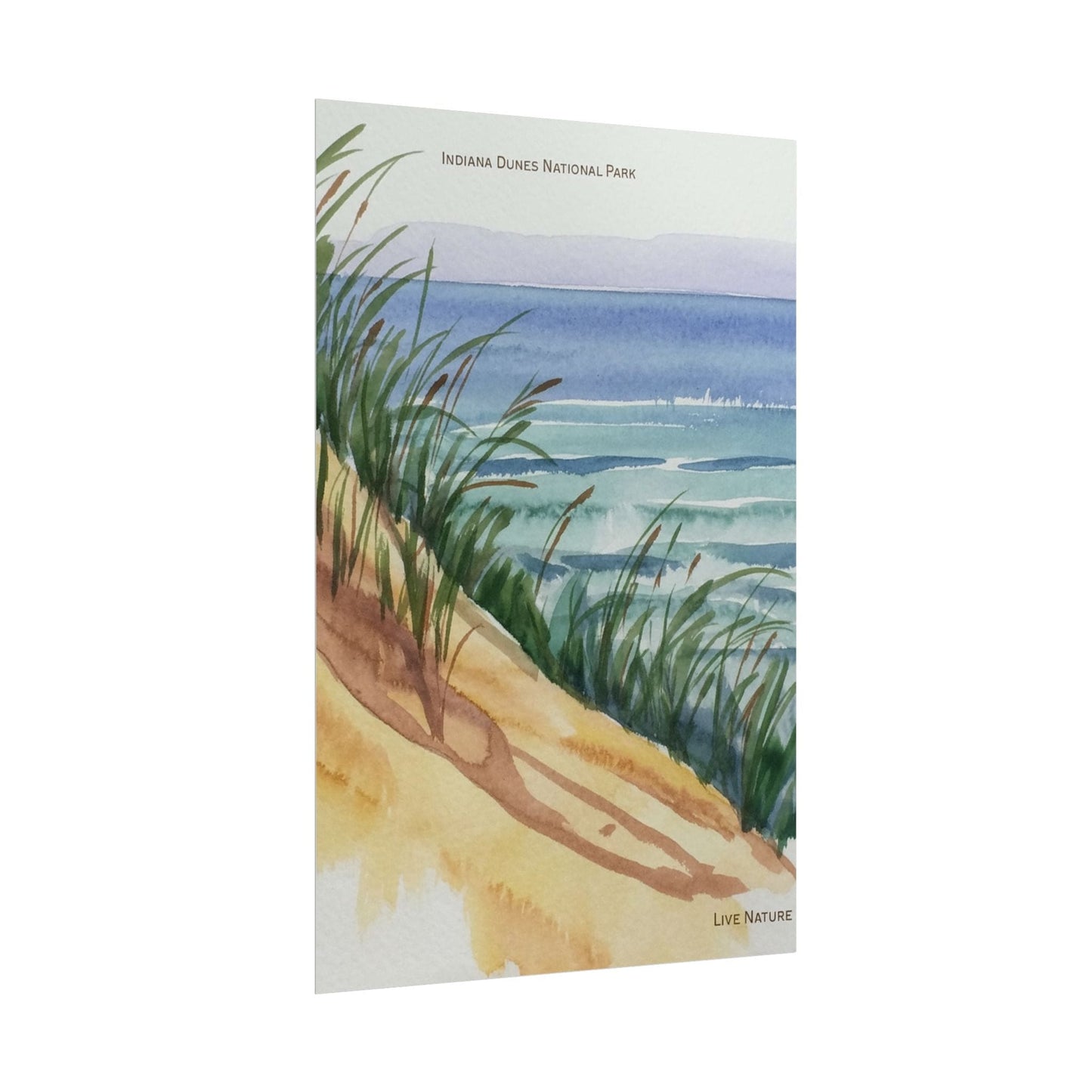 Indiana Dunes National Park Watercolor Print