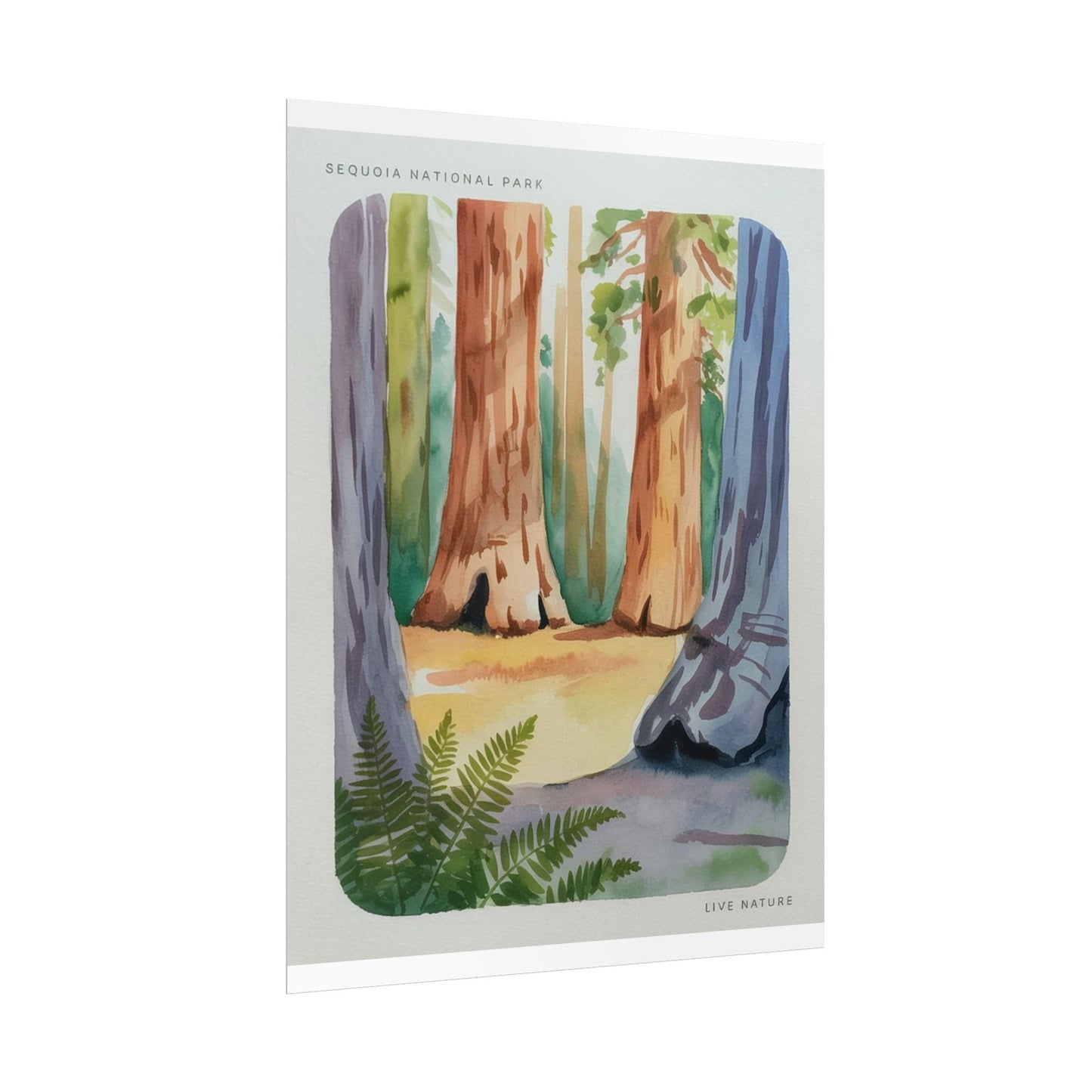 Sequoia National Park Watercolor Print Poster