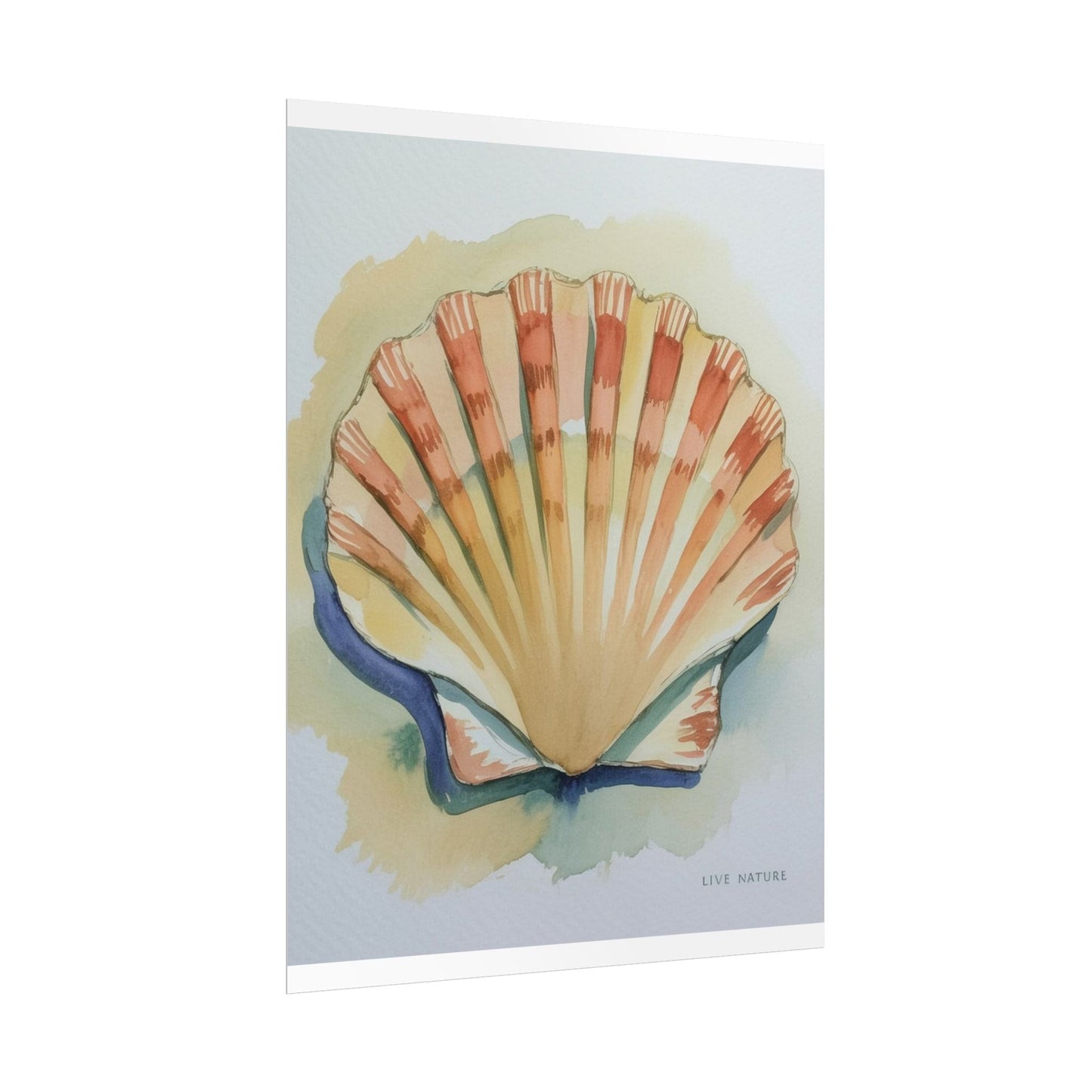 Clam Shell Watercolor Art Print 'Live Nature