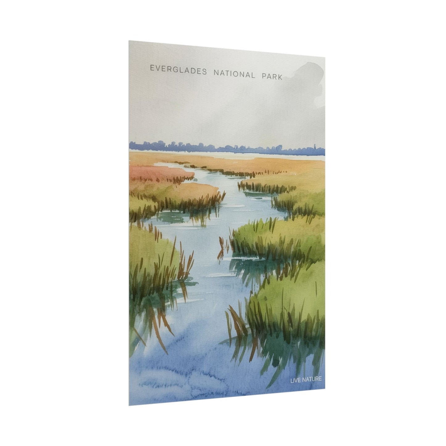 Everglades National Park Watercolor Poster Print