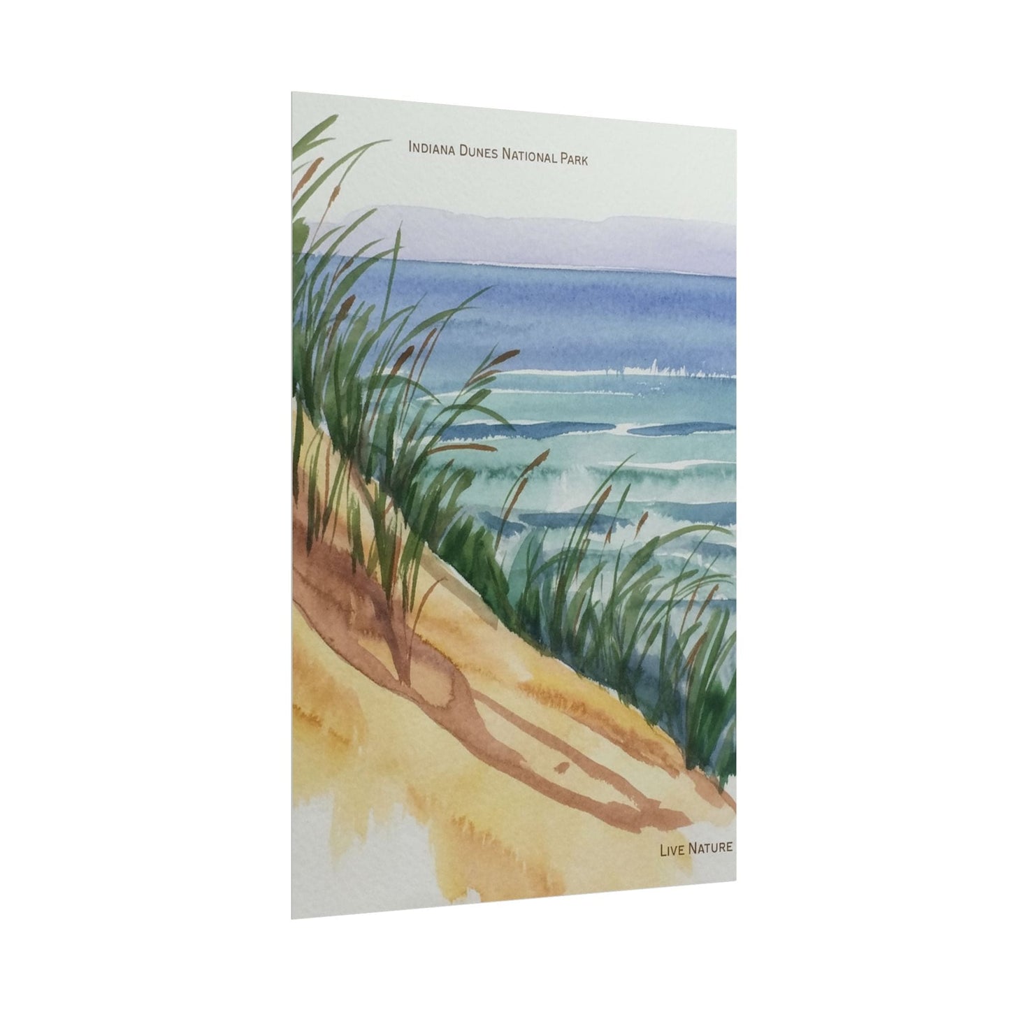 Indiana Dunes National Park Watercolor Print