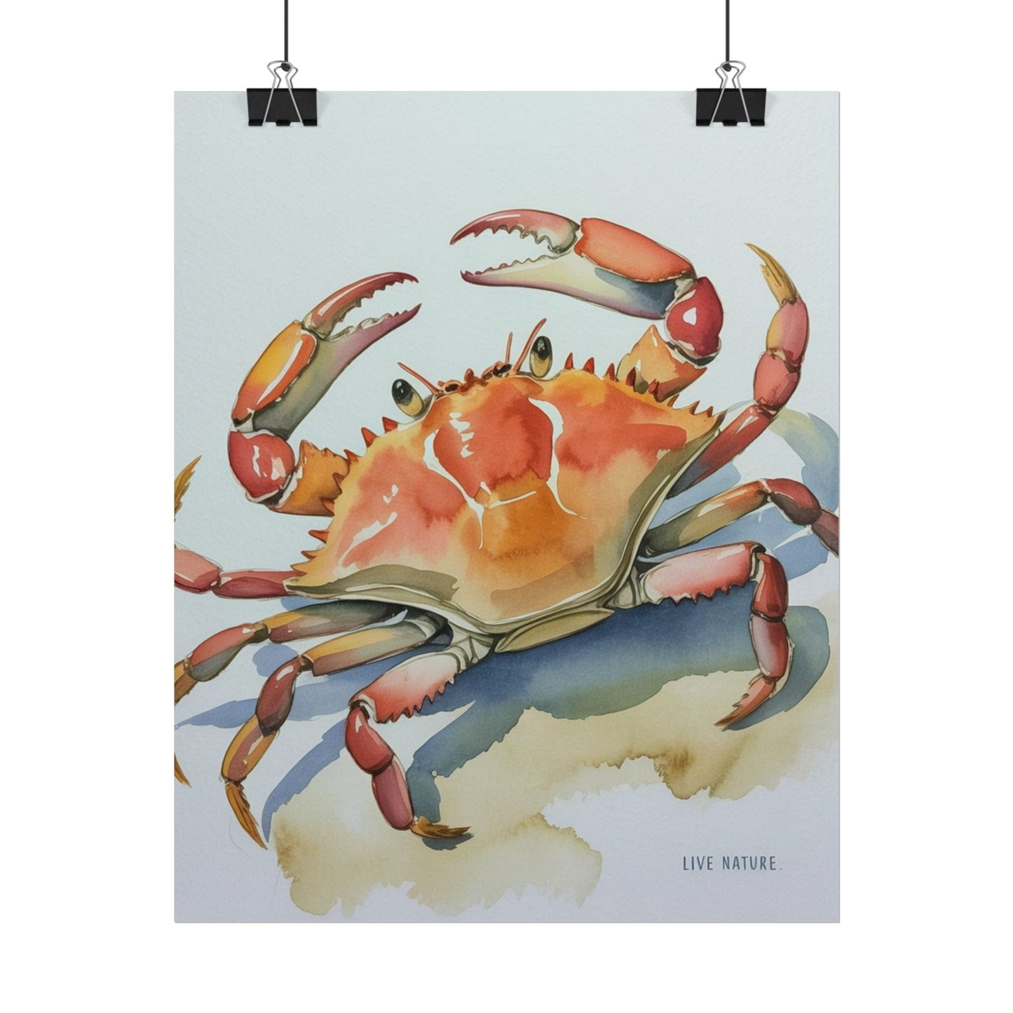 Live Nature Crab Watercolor Art Print Poster