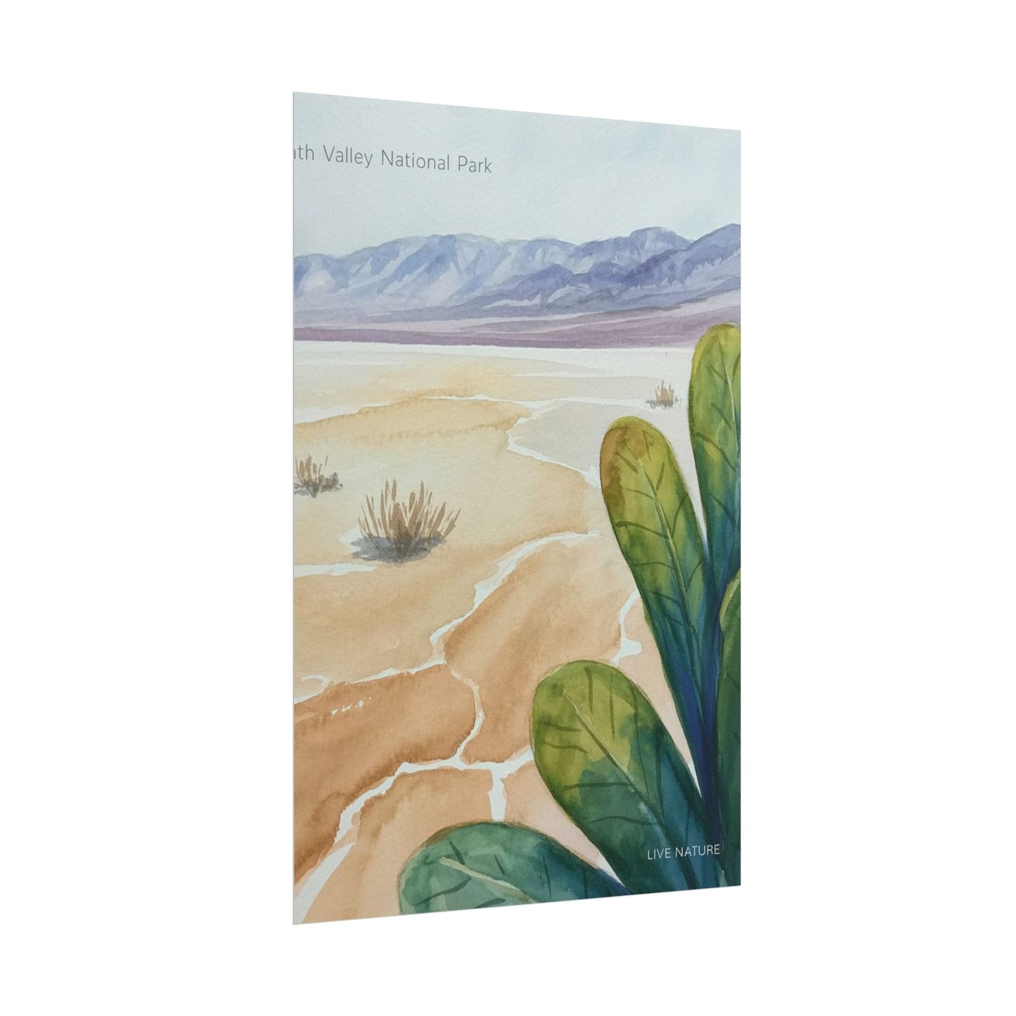 Death Valley National Park Watercolor Poster Print
