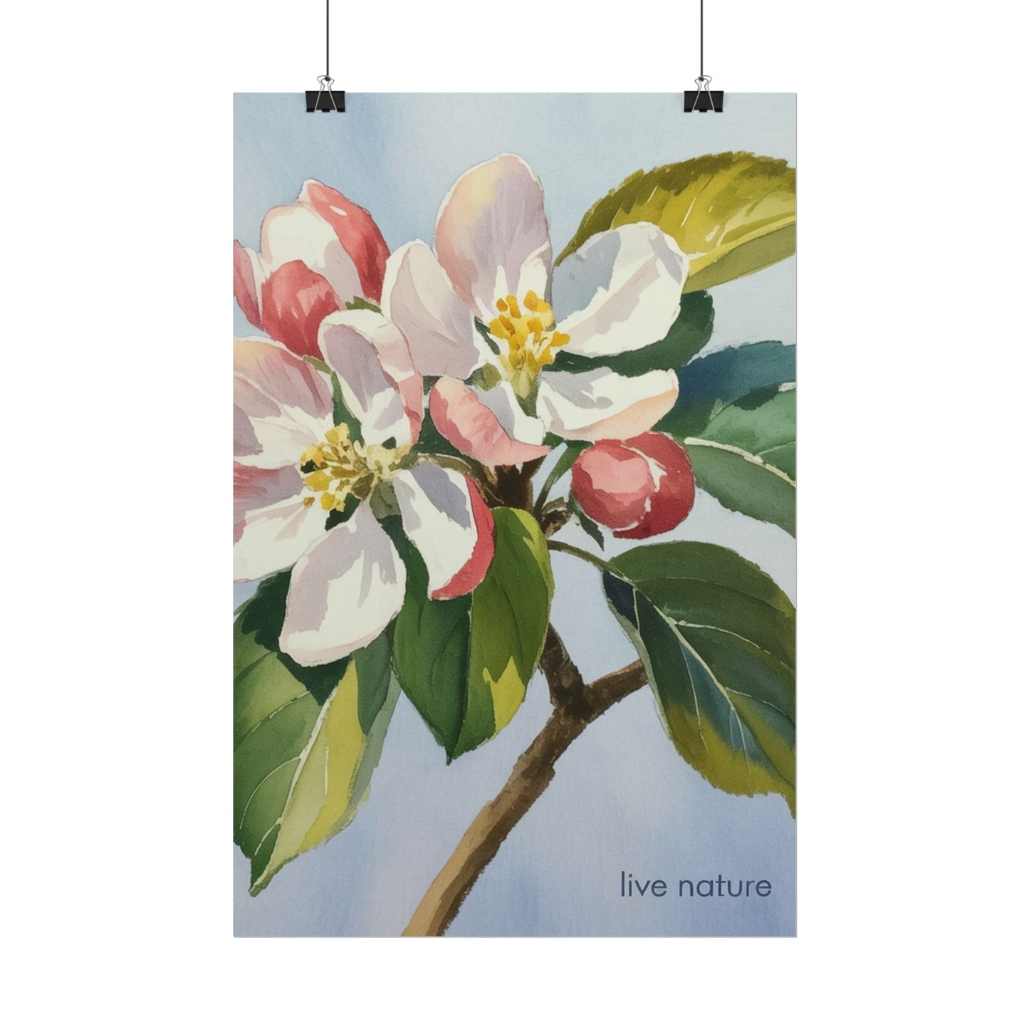 Apple Blossom Watercolor Art Print 'Live Nature' Design