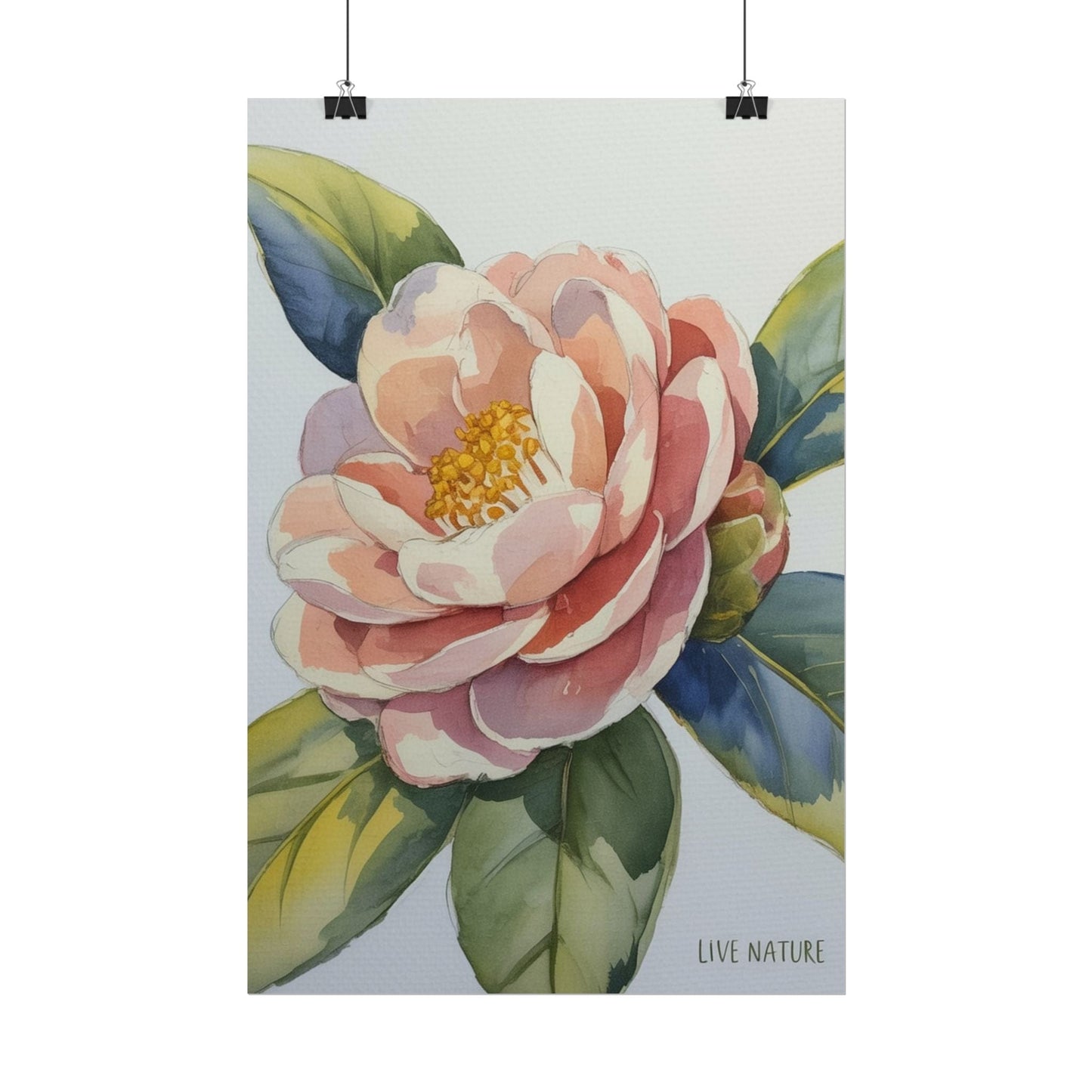 Camellia Flower Watercolor Art Print 'Live Nature