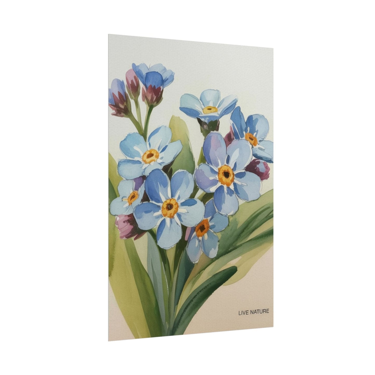 Alaska Forget-Me-Not Floral Watercolor Art Print