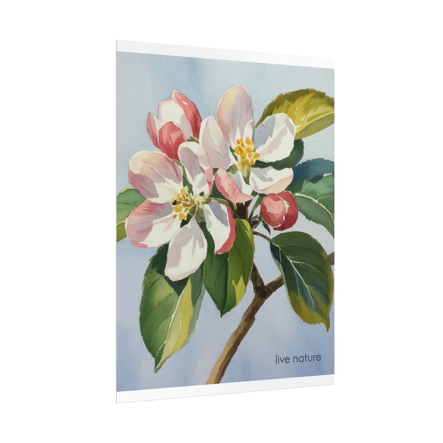 Apple Blossom Watercolor Art Print 'Live Nature' Design