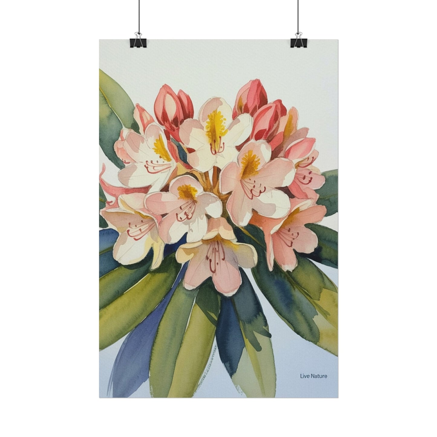 Coast Rhododendron Watercolor Print Washington Art