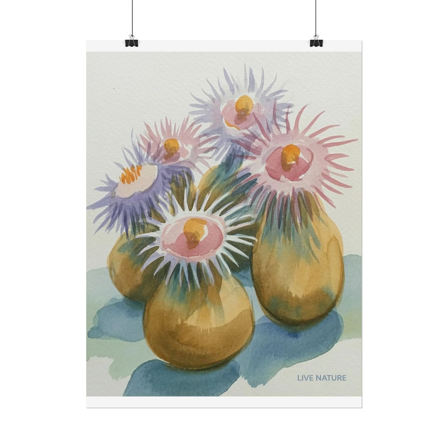 Colorful Sea Anemones Watercolor Art Print