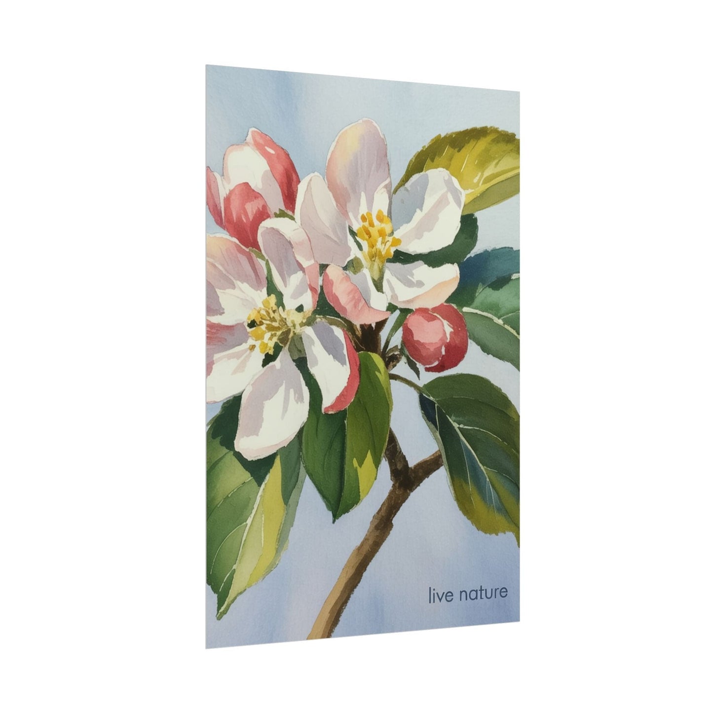 Apple Blossom Watercolor Art Print 'Live Nature' Design