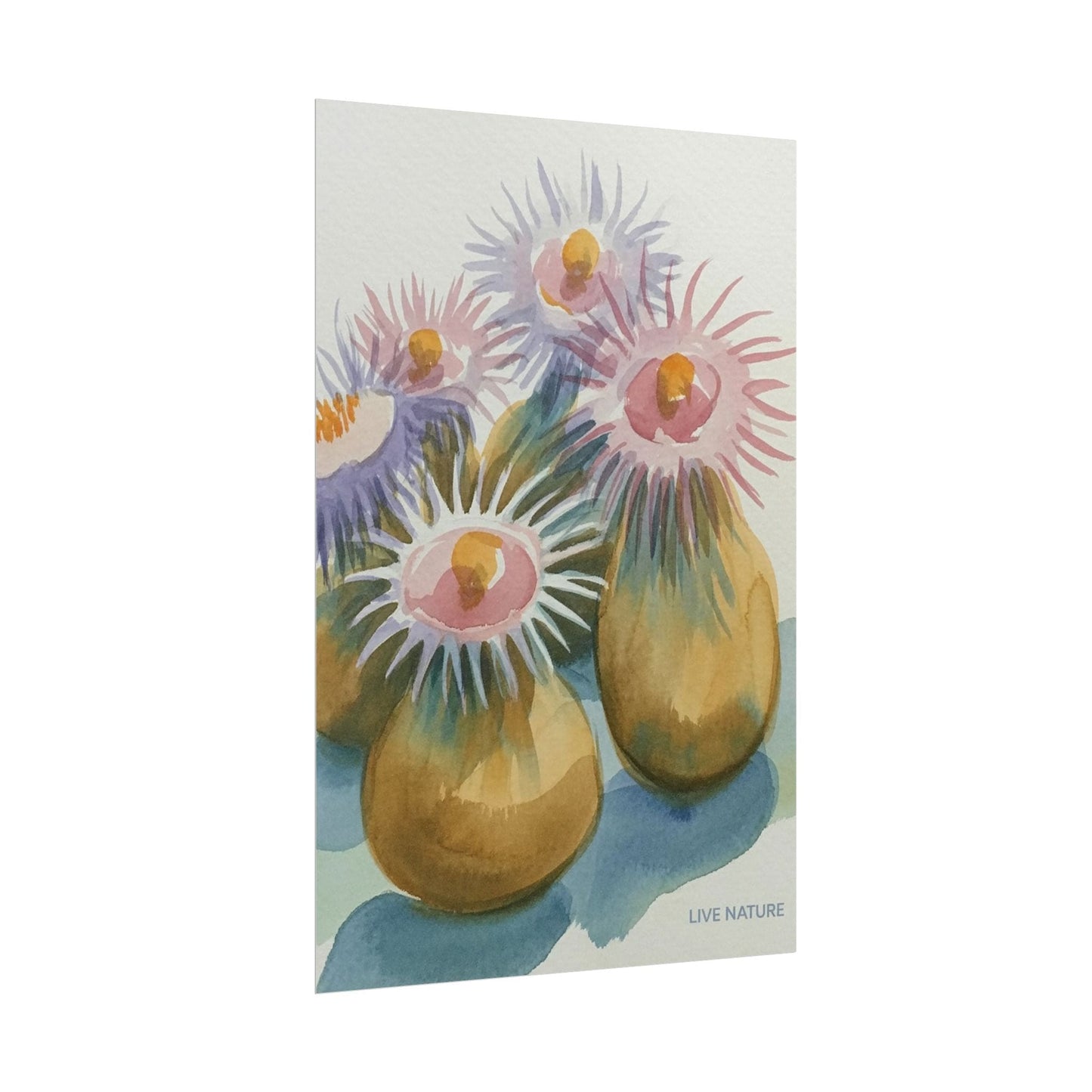 Colorful Sea Anemones Watercolor Art Print