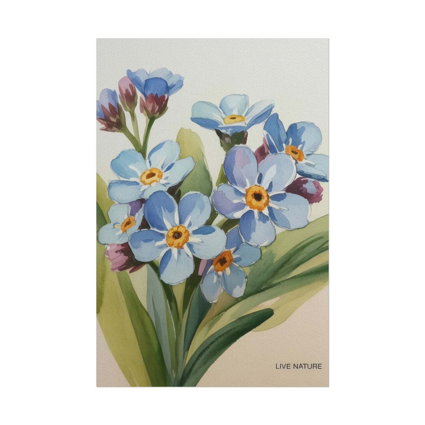 Alaska Forget-Me-Not Floral Watercolor Art Print