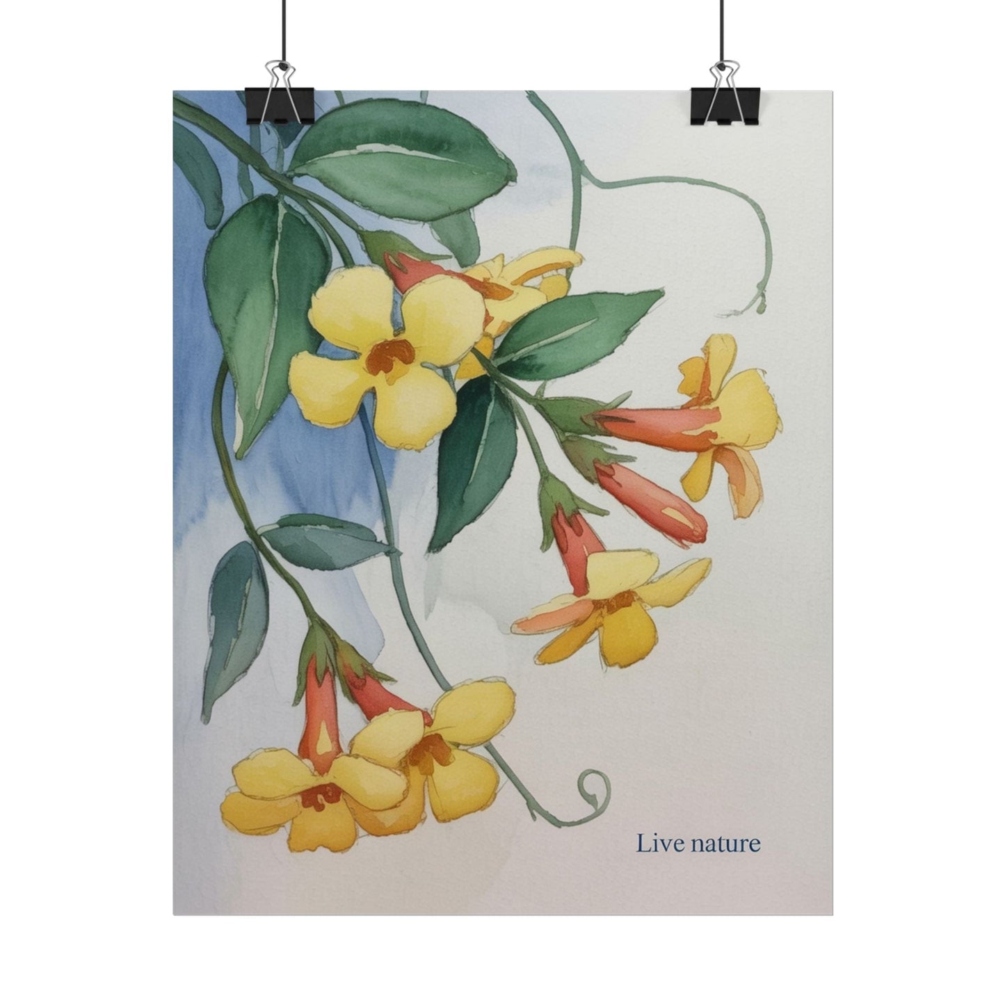 Yellow Jessamine Watercolor Art Print 'Live Nature