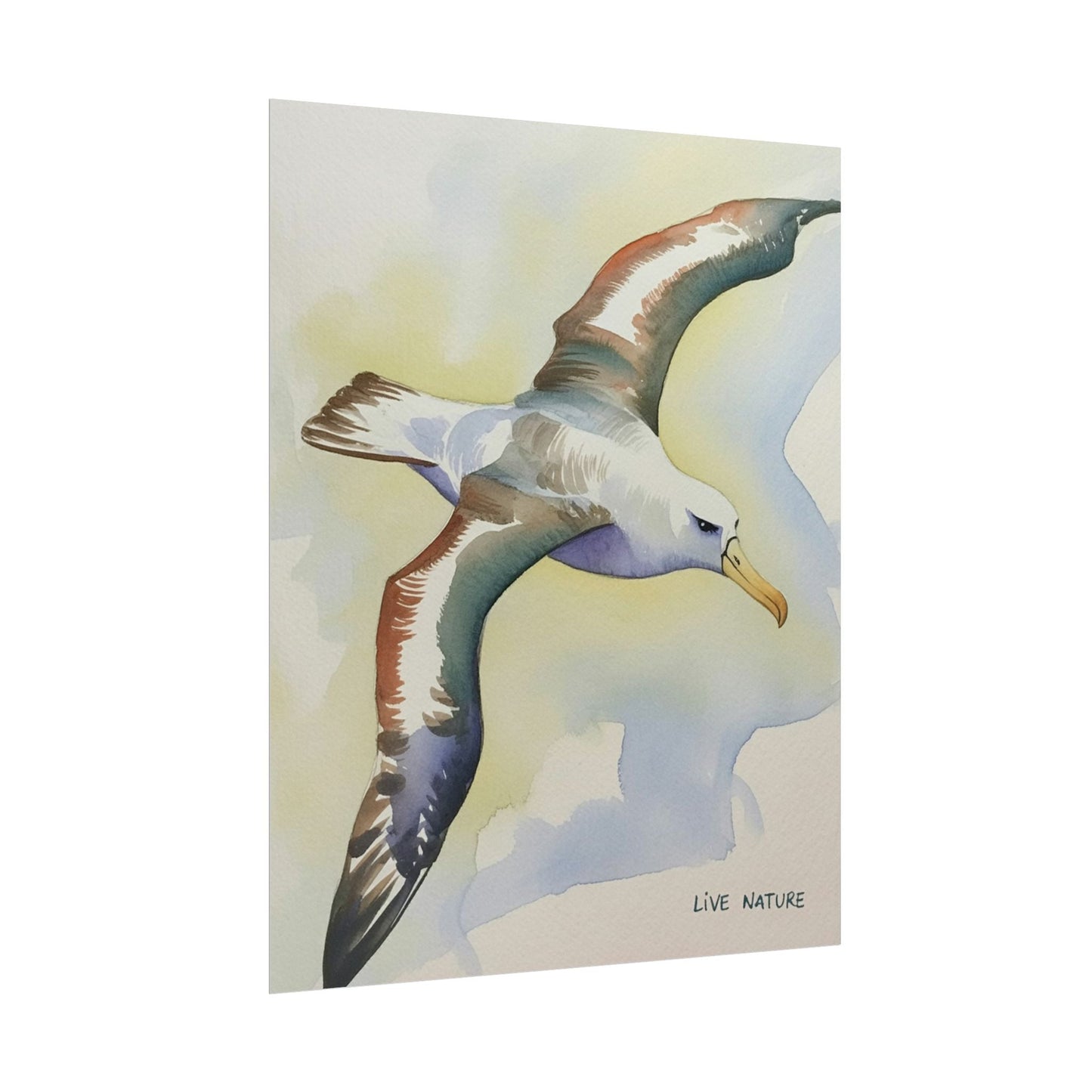 Albatross Watercolor Art Print - Live Nature Design