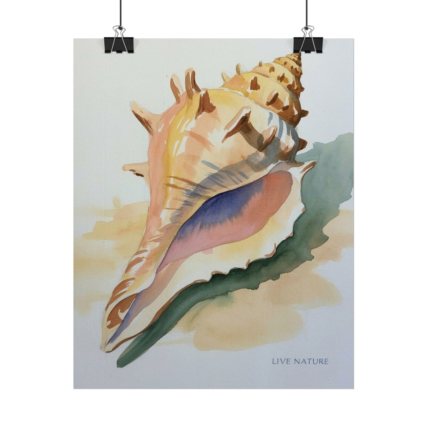 Conch Shell Watercolor Print 'Live Nature' Design