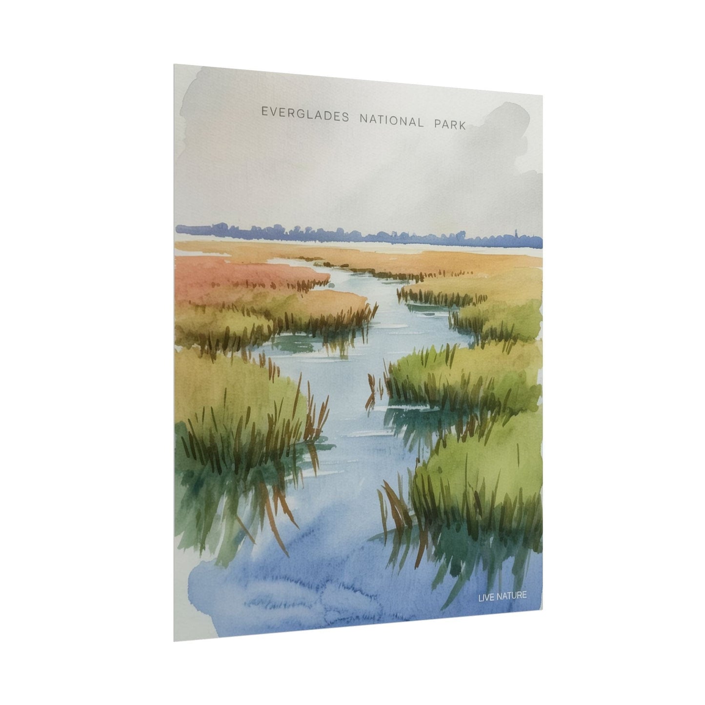 Everglades National Park Watercolor Poster Print