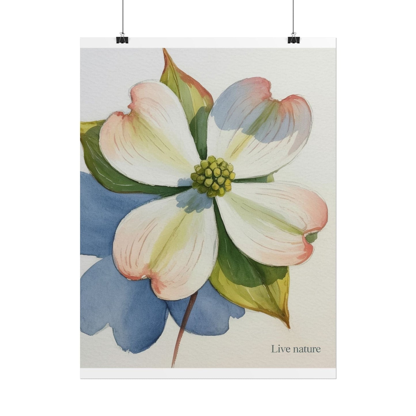 Flowering Dogwood Watercolor Print 'Live Nature
