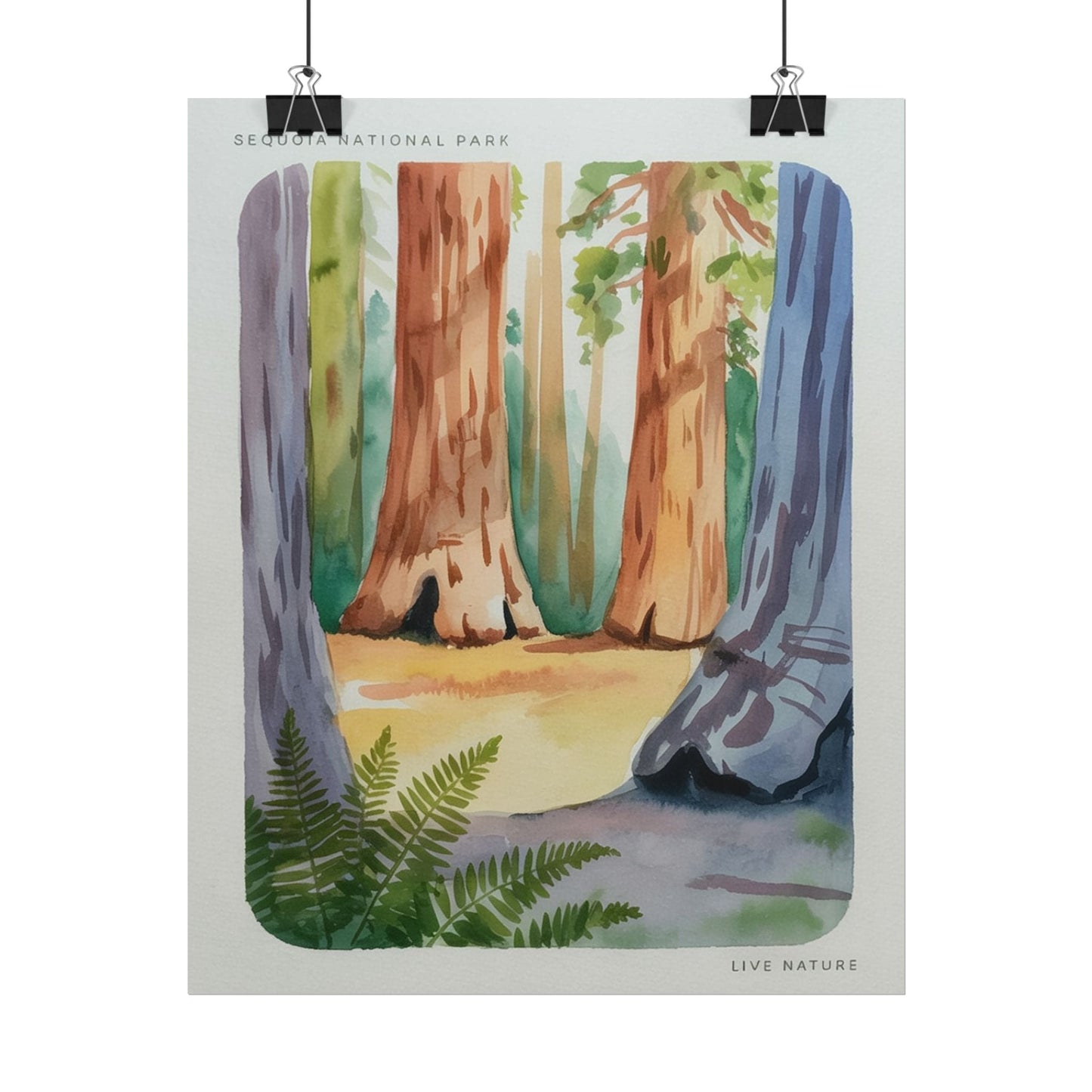 Sequoia National Park Watercolor Print Poster