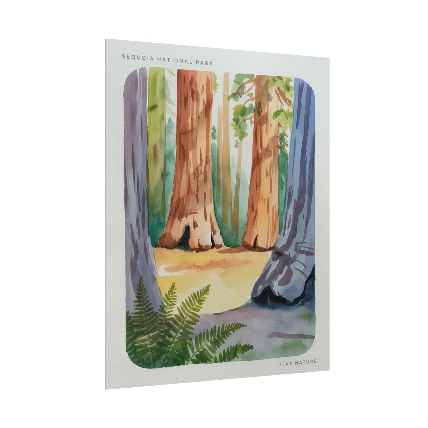 Sequoia National Park Watercolor Print Poster