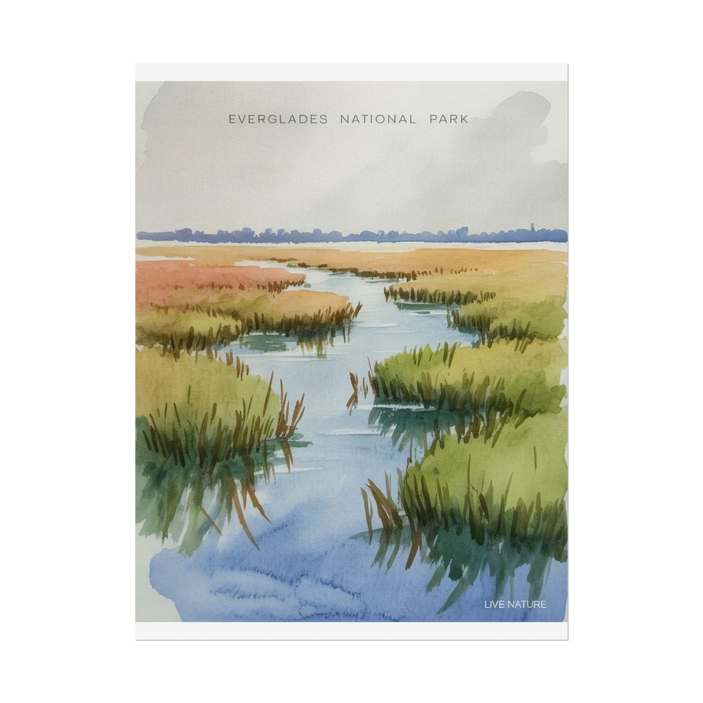 Everglades National Park Watercolor Poster Print