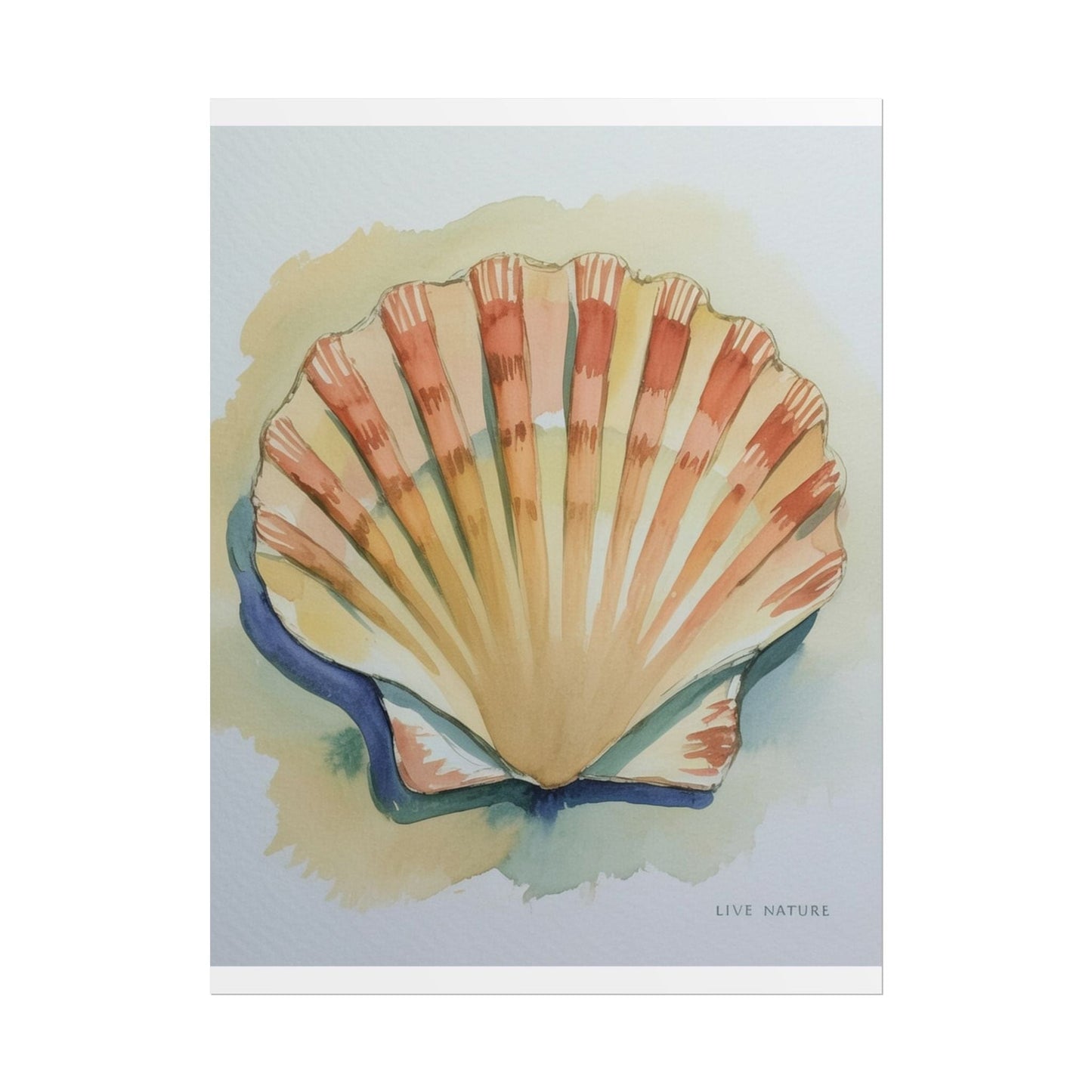 Clam Shell Watercolor Art Print 'Live Nature