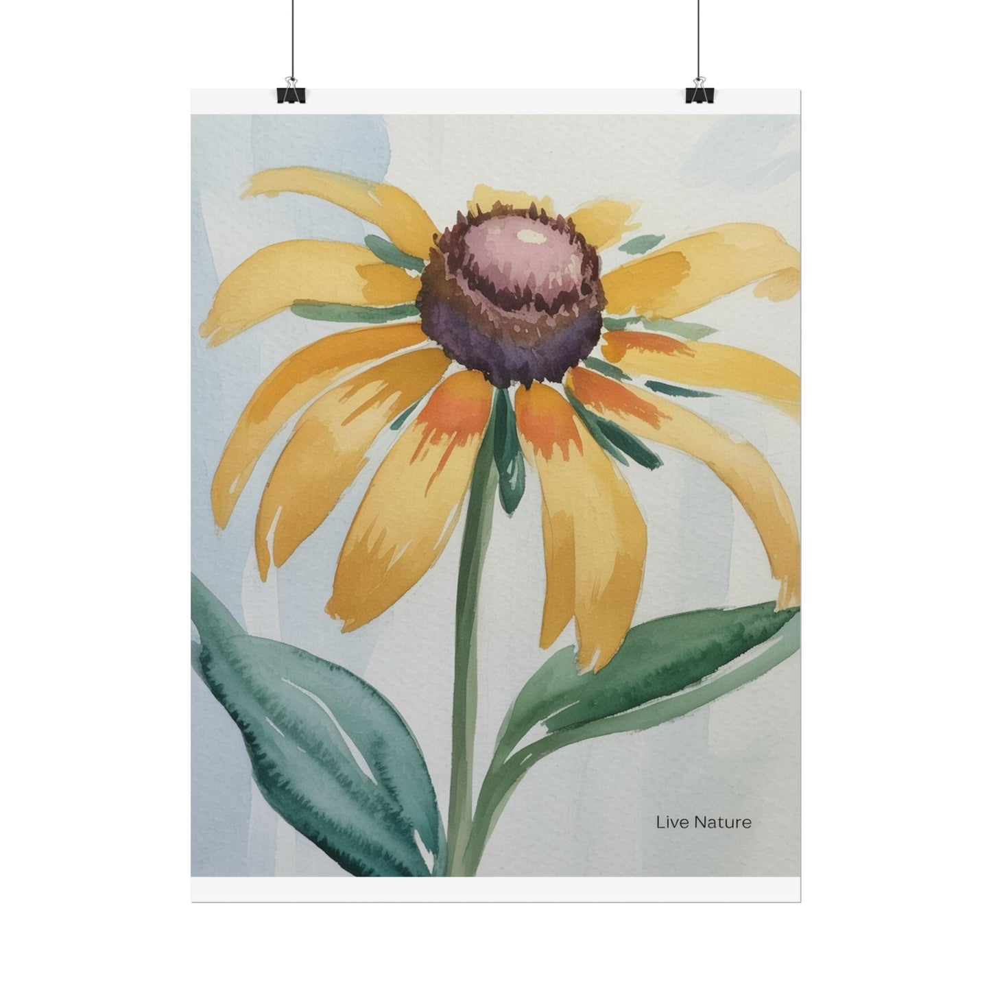 Black Eyed Susan Watercolor Art Print - Live Nature