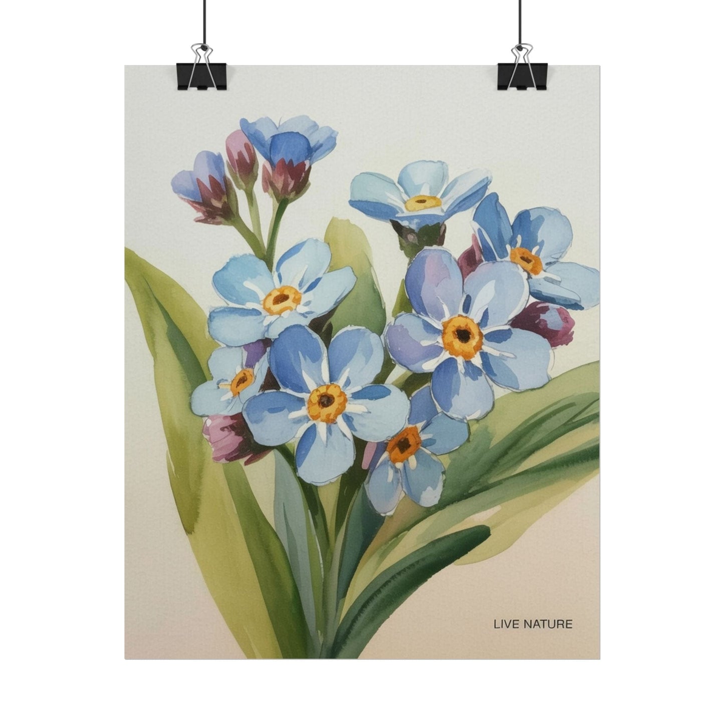Alaska Forget-Me-Not Floral Watercolor Art Print