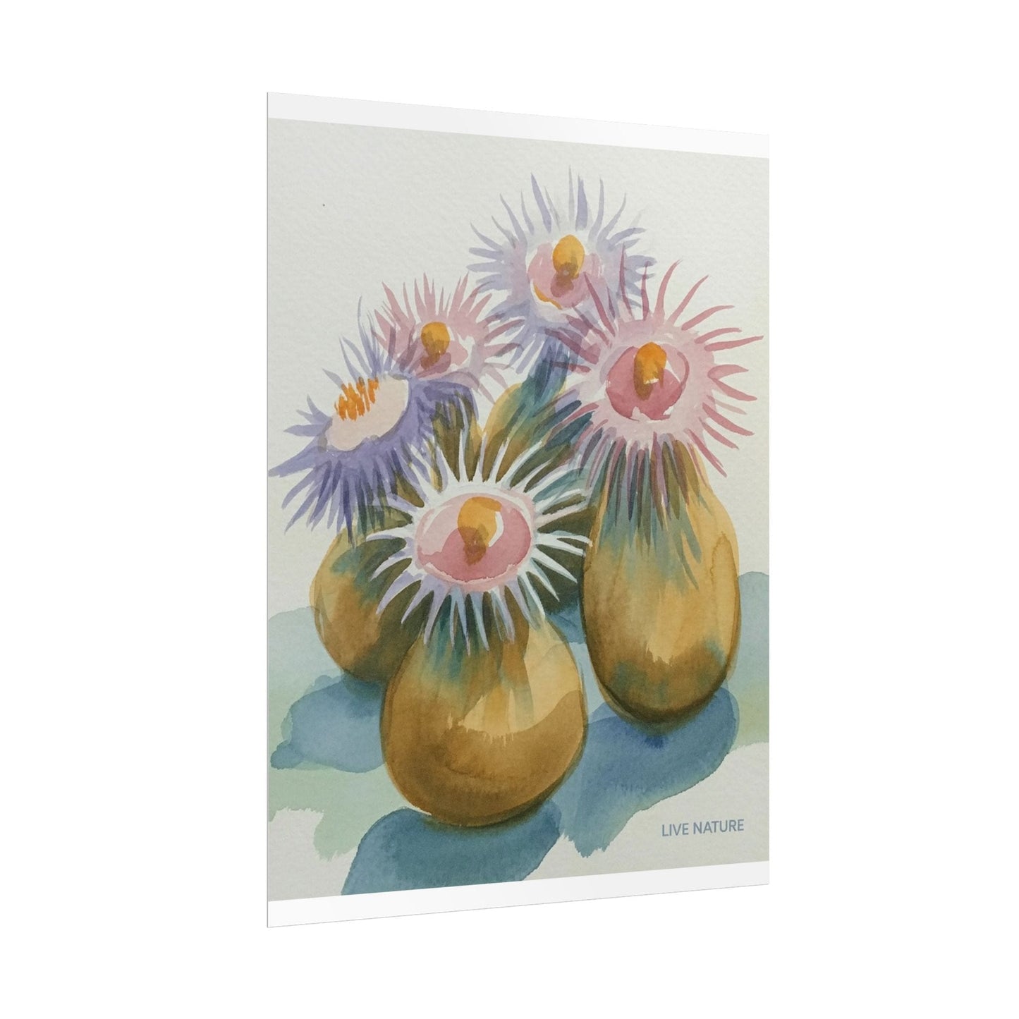 Colorful Sea Anemones Watercolor Art Print