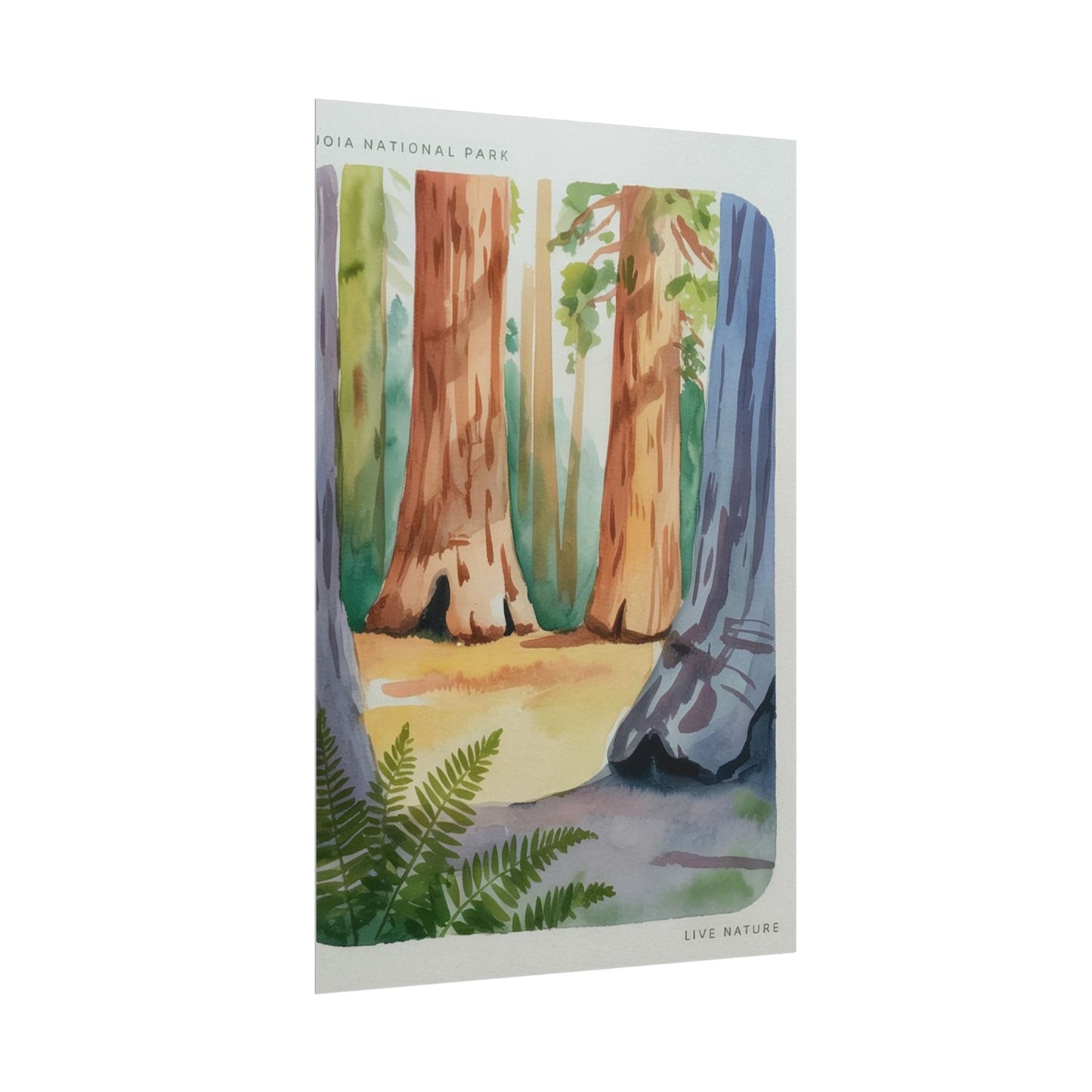 Sequoia National Park Watercolor Print Poster