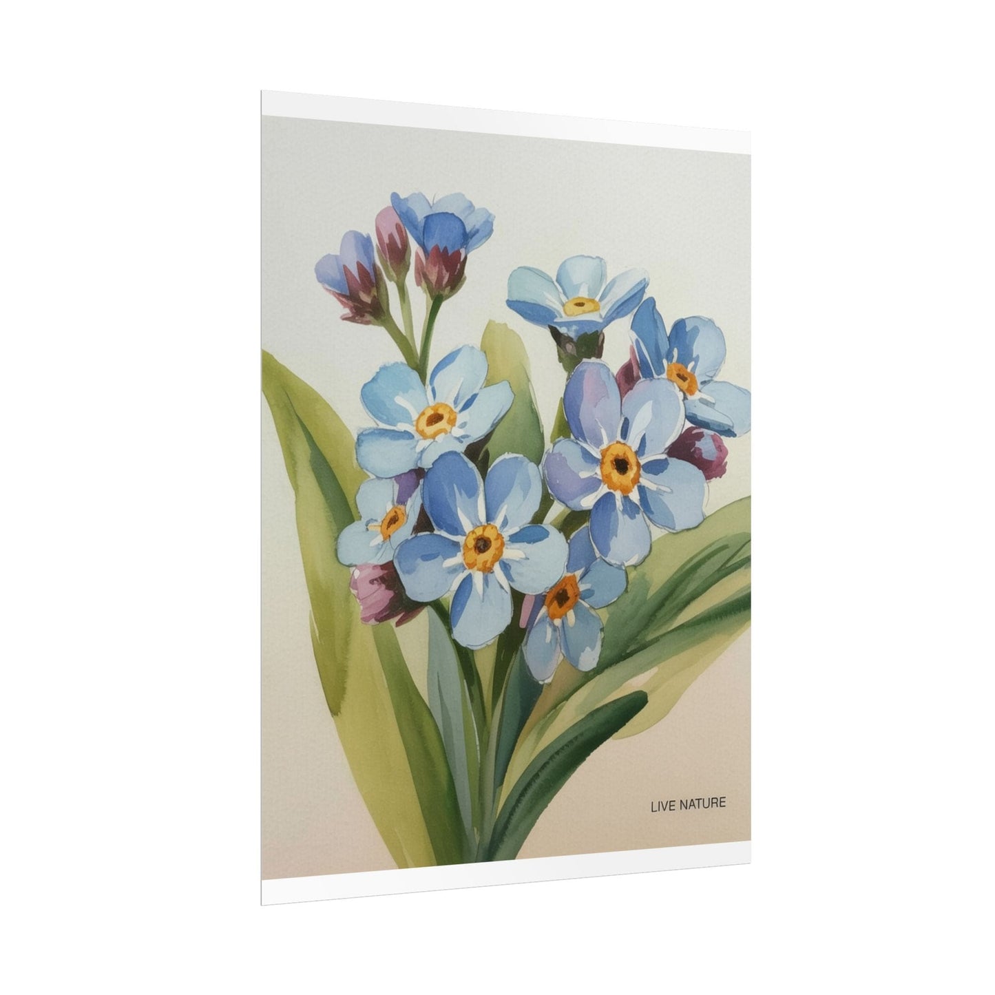 Alaska Forget-Me-Not Floral Watercolor Art Print