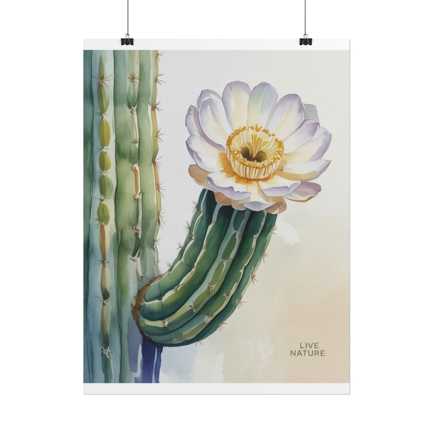 Saguaro Cactus Bloom Watercolor Art Print 'Live Nature