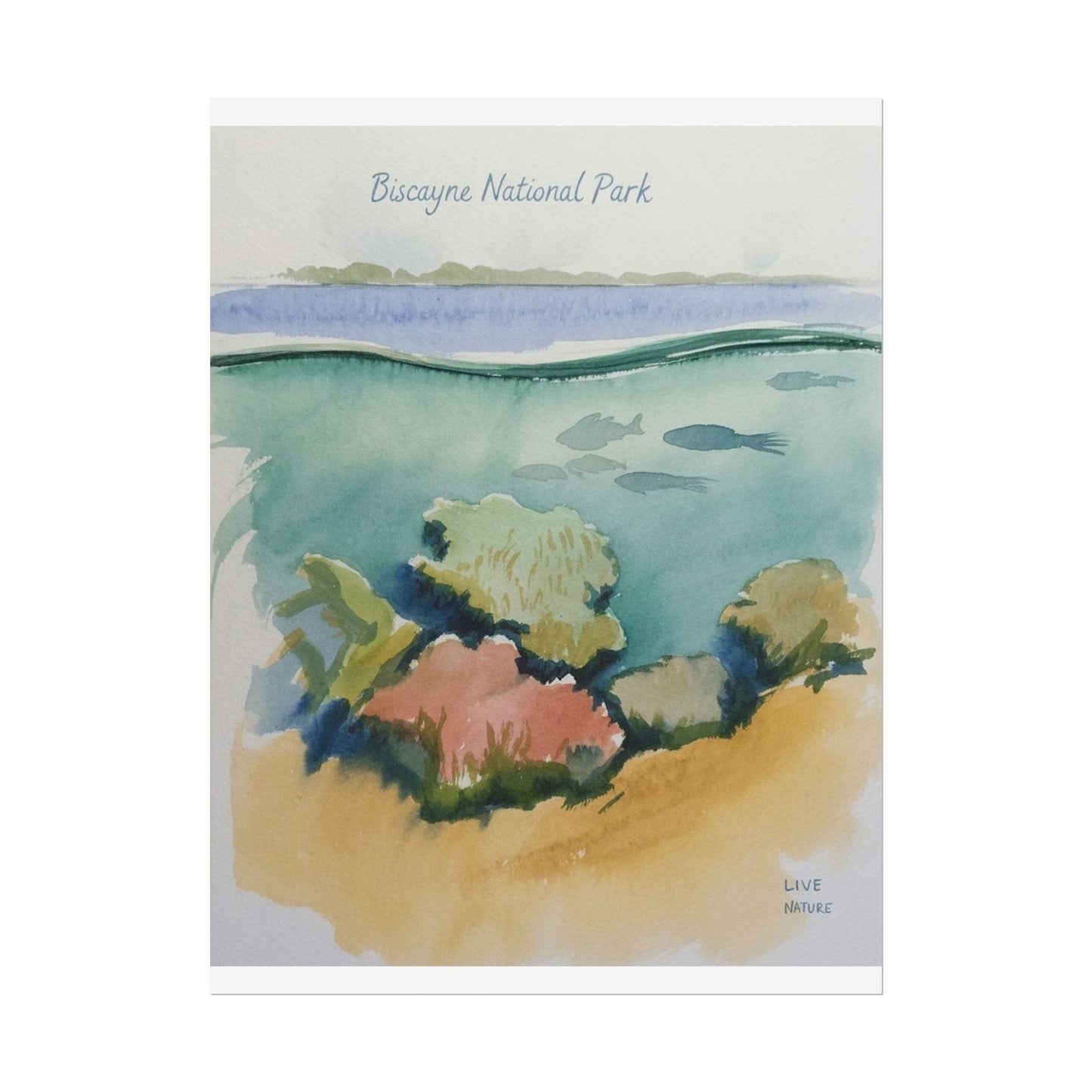 Biscayne National Park Underwater Watercolor Print
