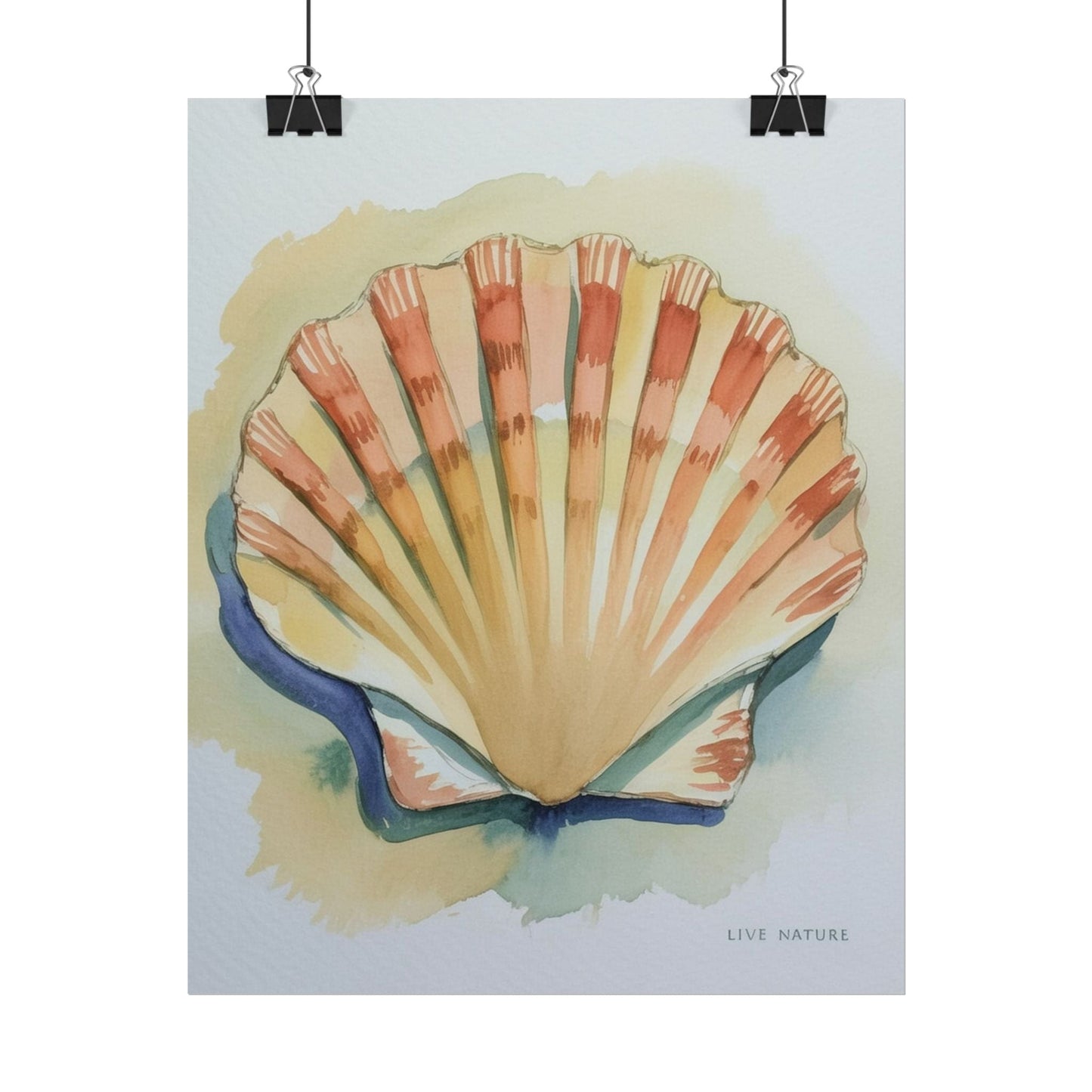 Clam Shell Watercolor Art Print 'Live Nature