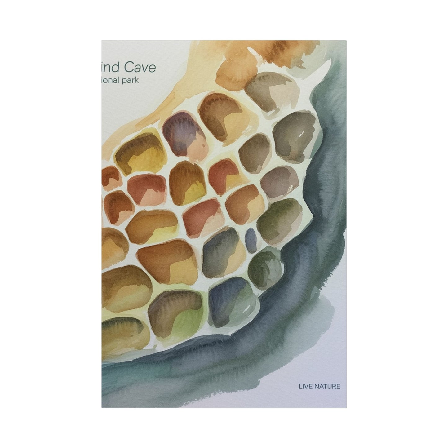 Wind Cave National Park Watercolor Poster Print