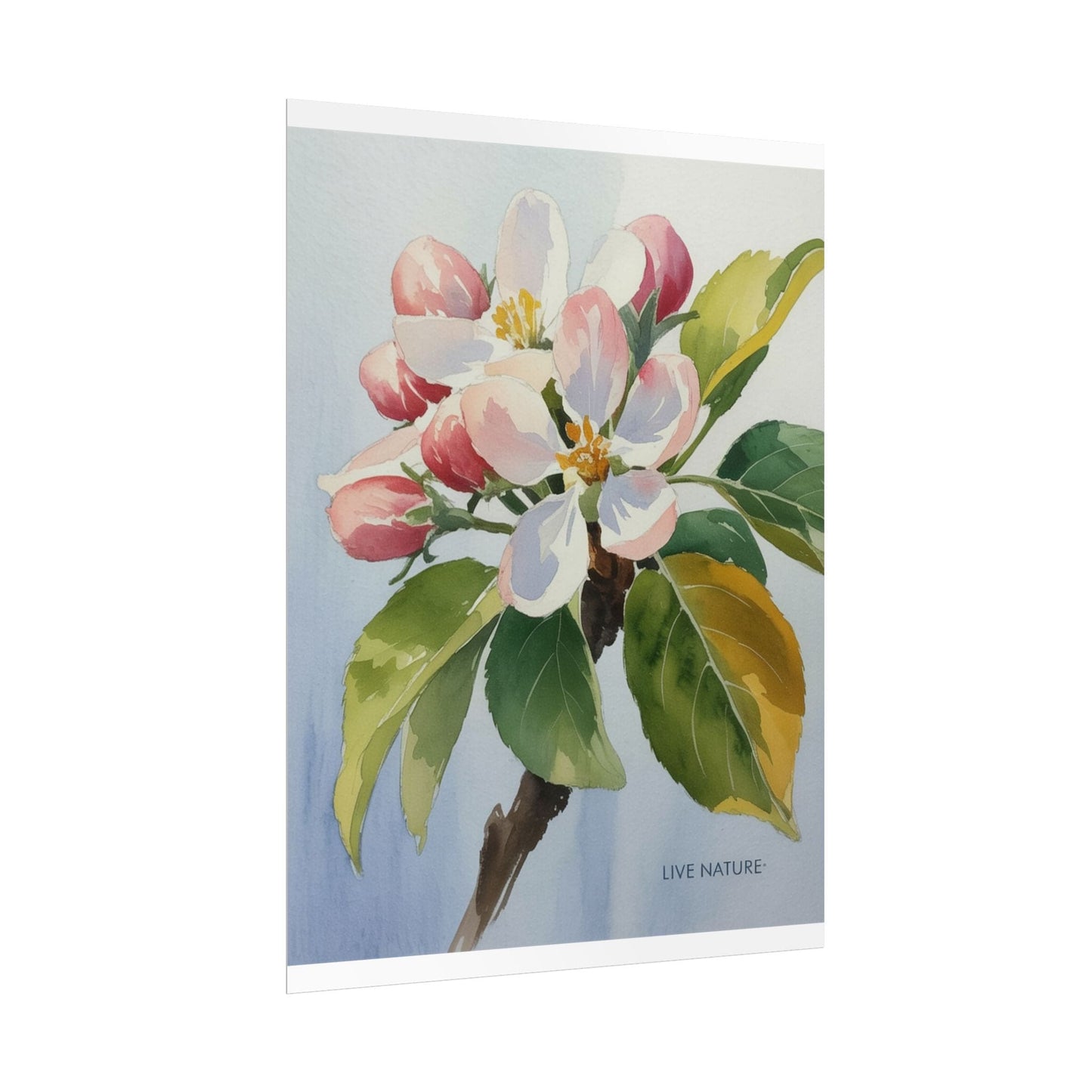 Apple Blossom Watercolor Print 'Live Nature' Design